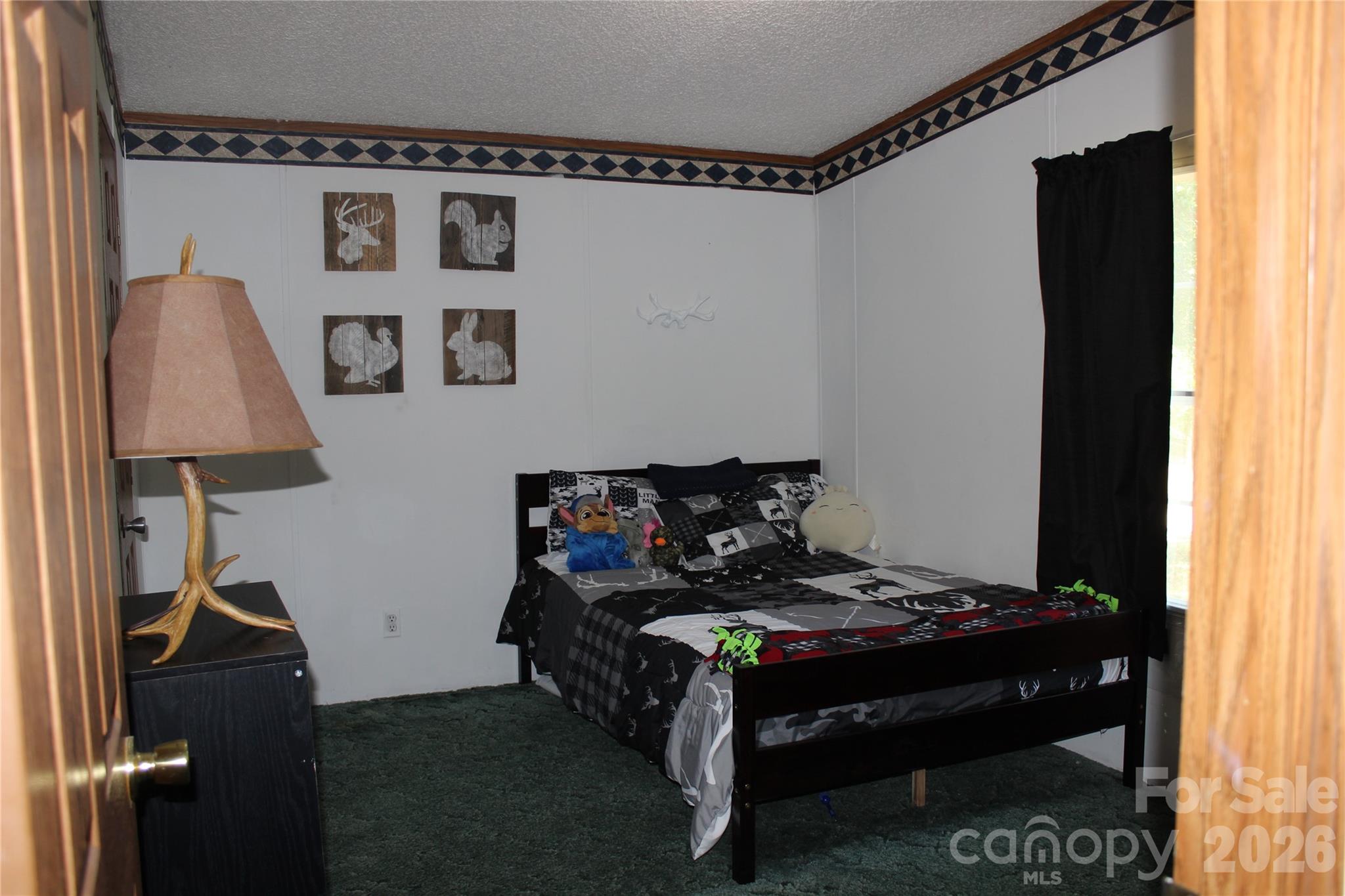 249 J L Green Lane — Pageland