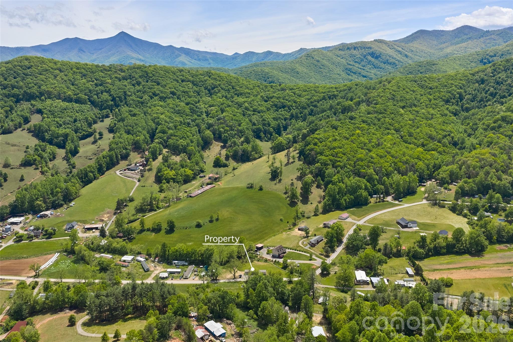 265 Curtis Creek Road — Candler