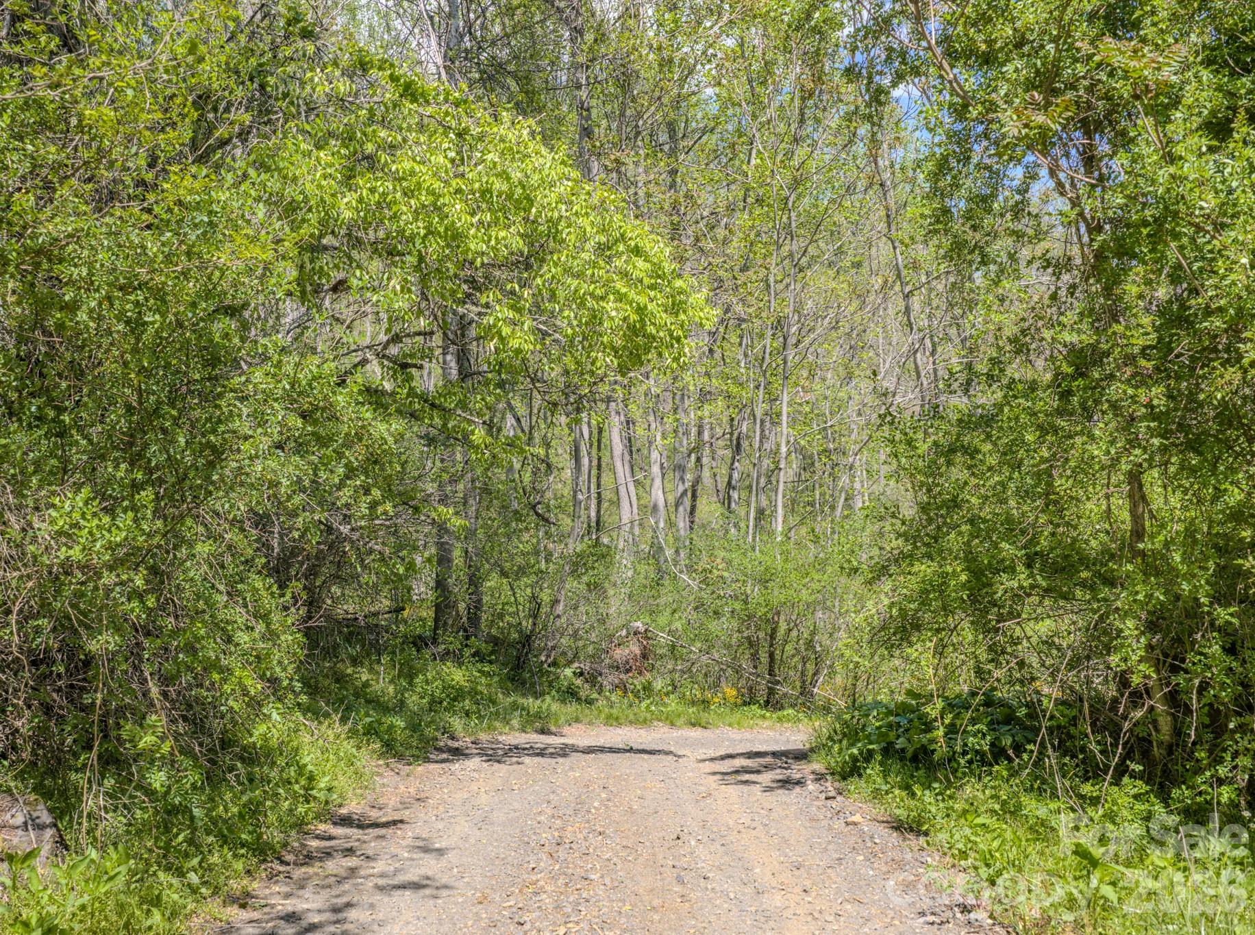 143 Gouge Cemetery Road — Bakersville