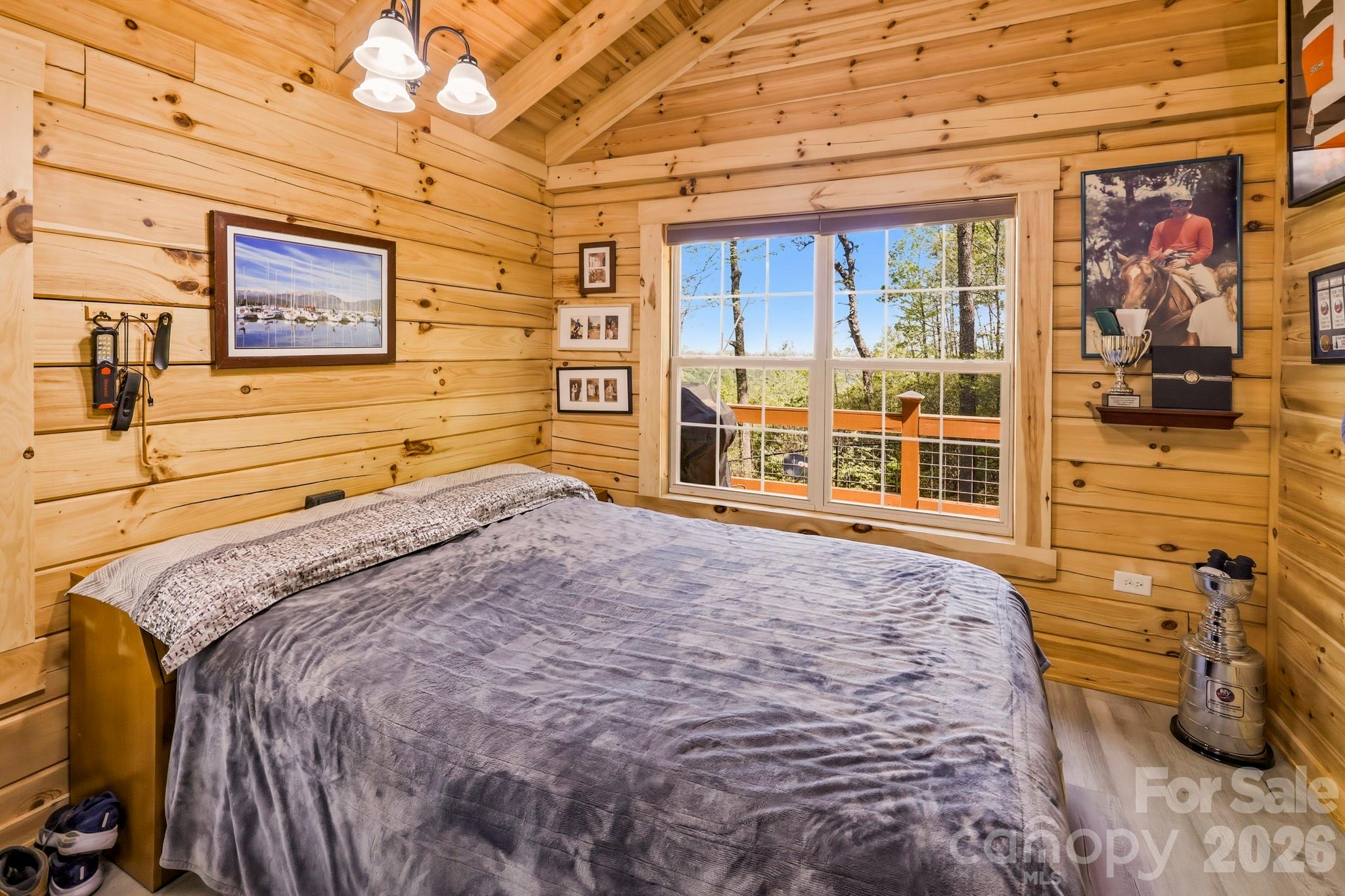 20 Laurel Cottage Lane — Black Mountain