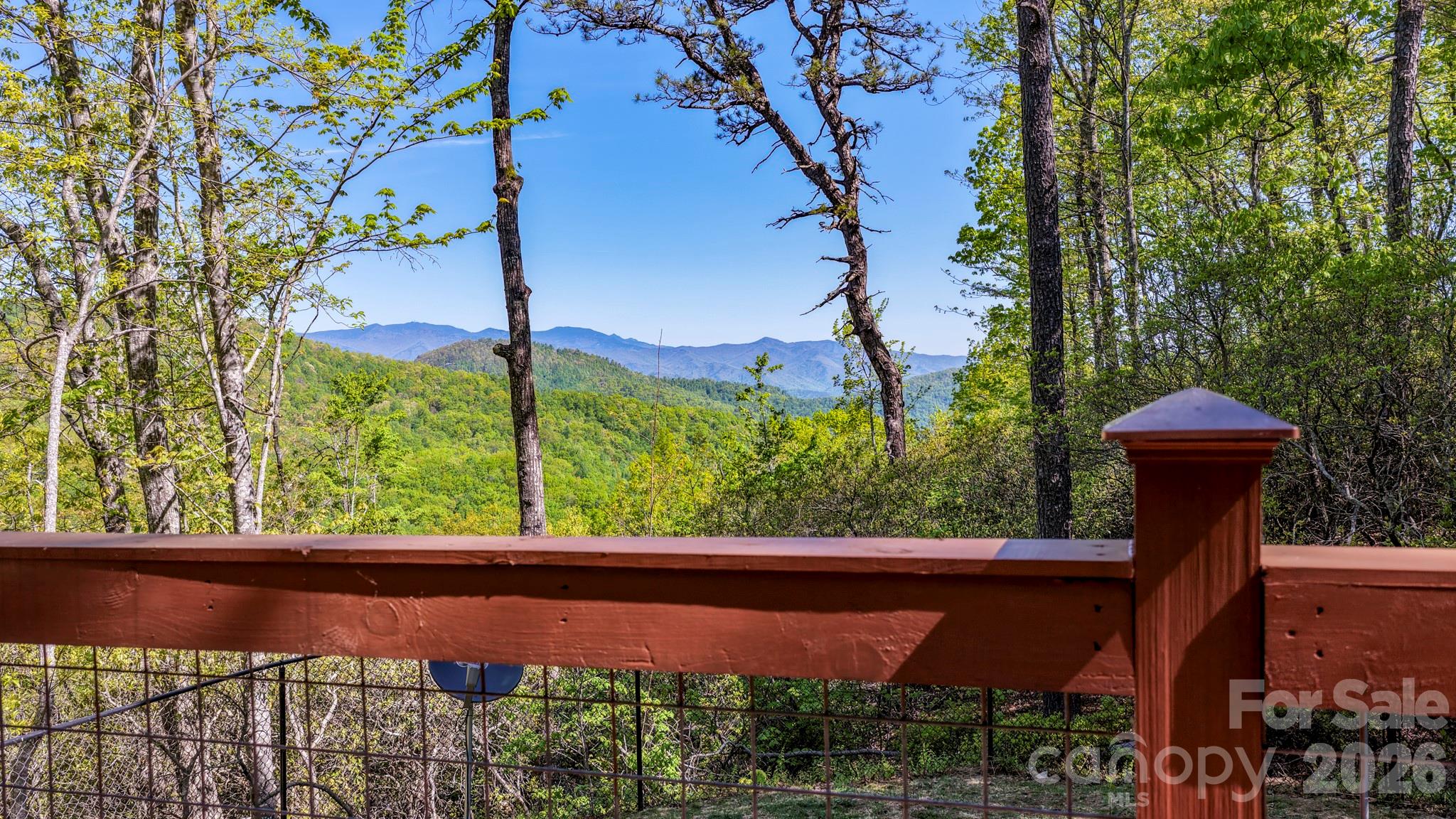 20 Laurel Cottage Lane — Black Mountain