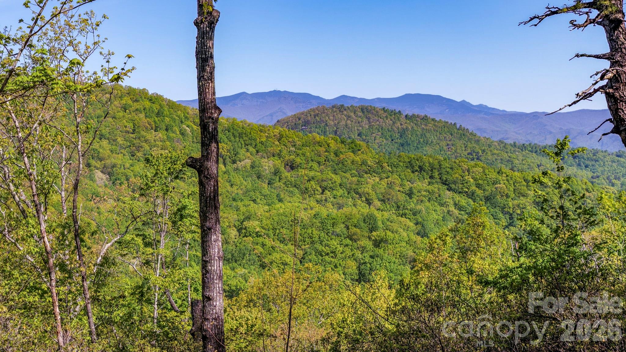 20 Laurel Cottage Lane — Black Mountain