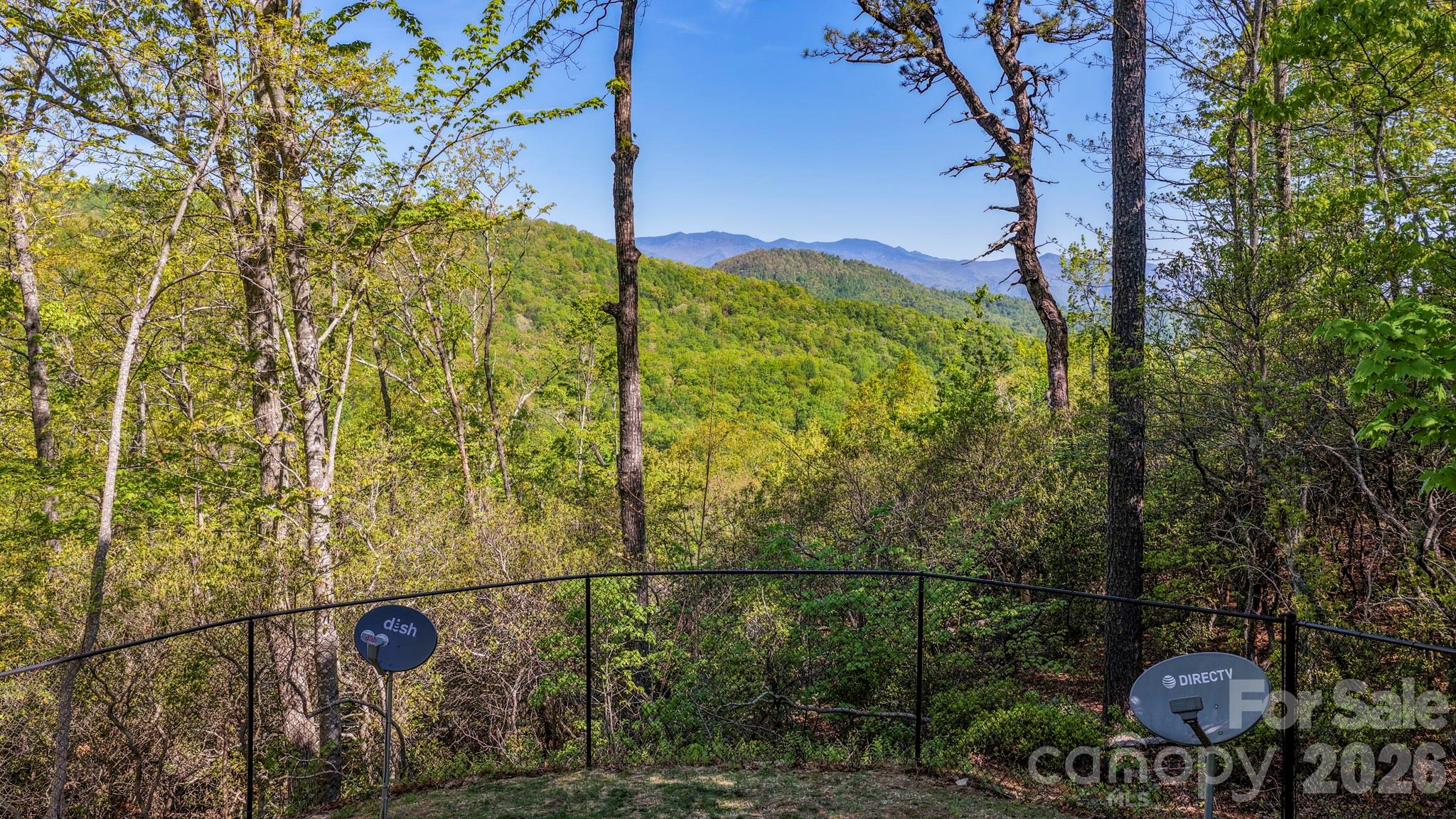 20 Laurel Cottage Lane — Black Mountain