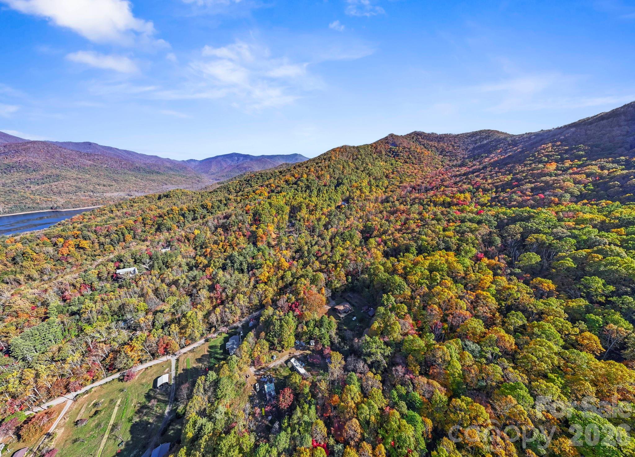 96 Old Cove Road — Black Mountain