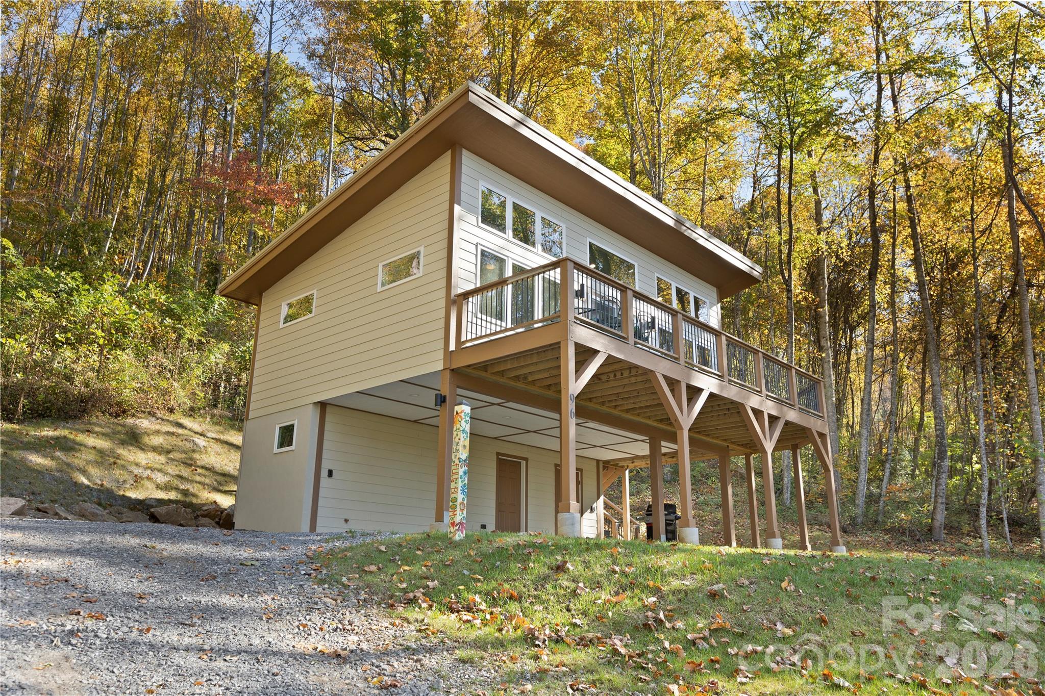 96 Old Cove Road — Black Mountain