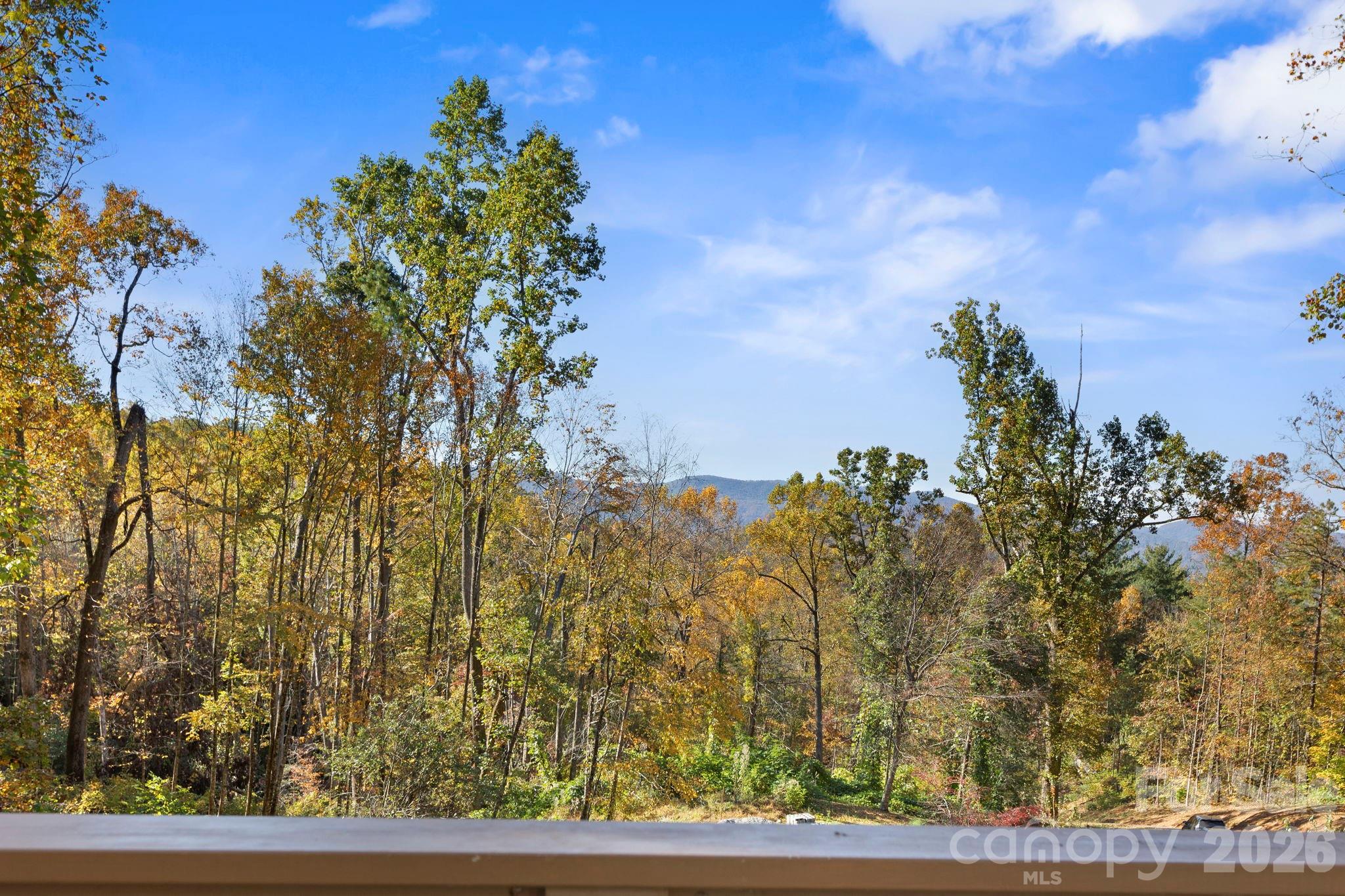 96 Old Cove Road — Black Mountain