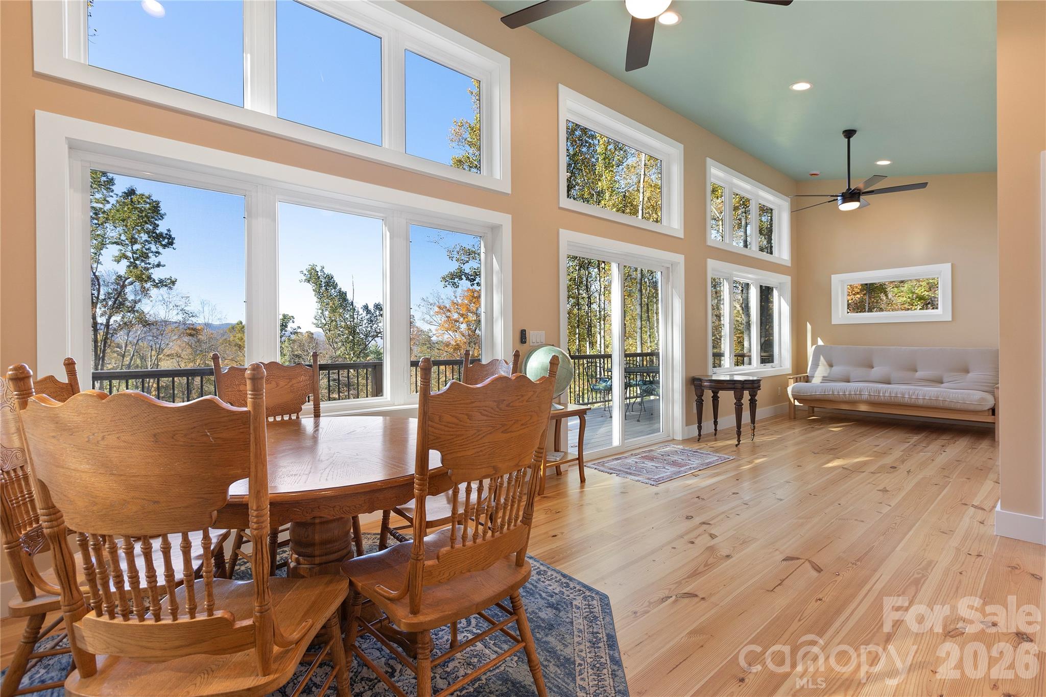 96 Old Cove Road — Black Mountain