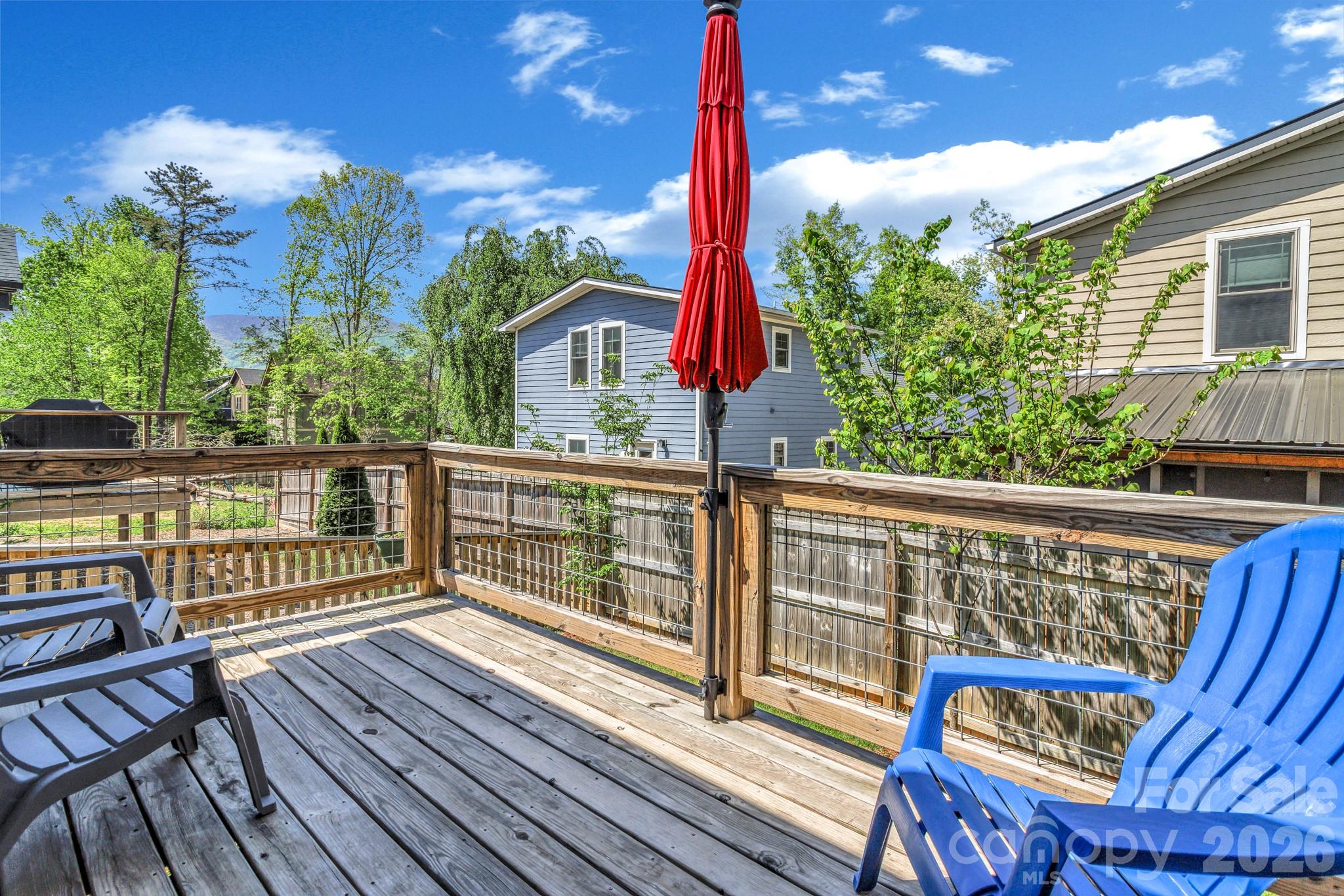 116 Craggy Street — Black Mountain