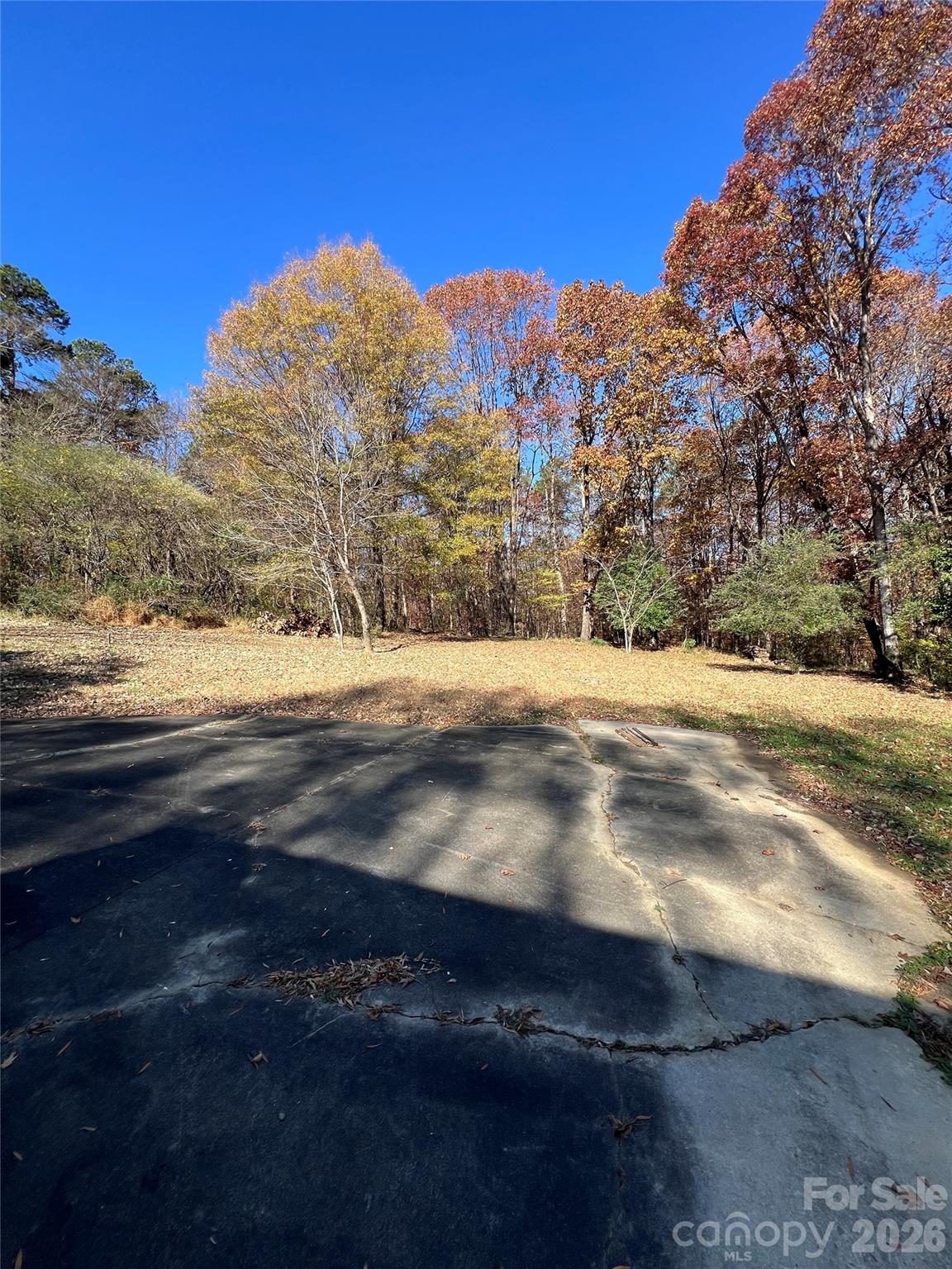 7004 Delisa Drive — Charlotte