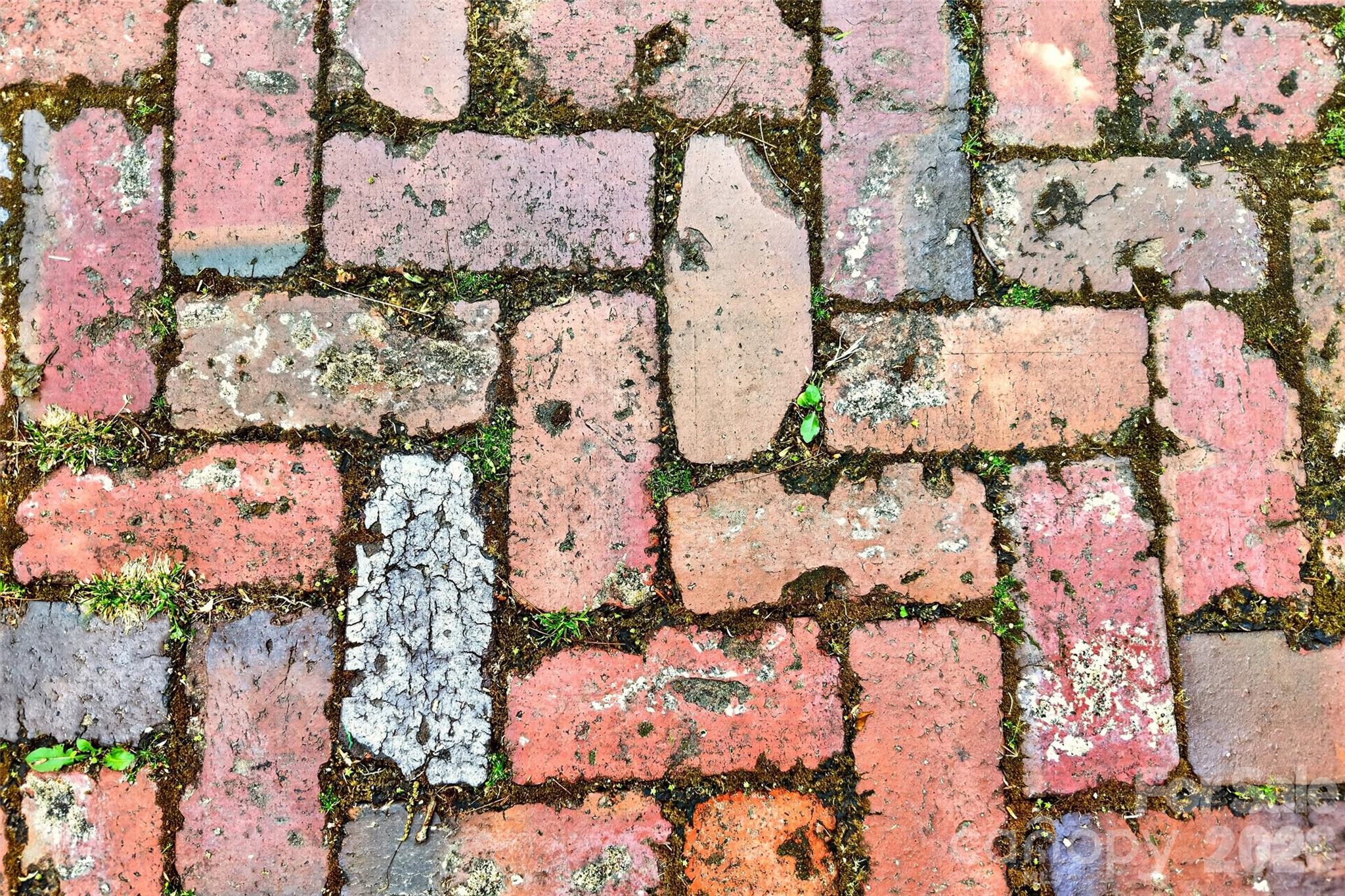 75 Old Lakey Gap Road — Black Mountain