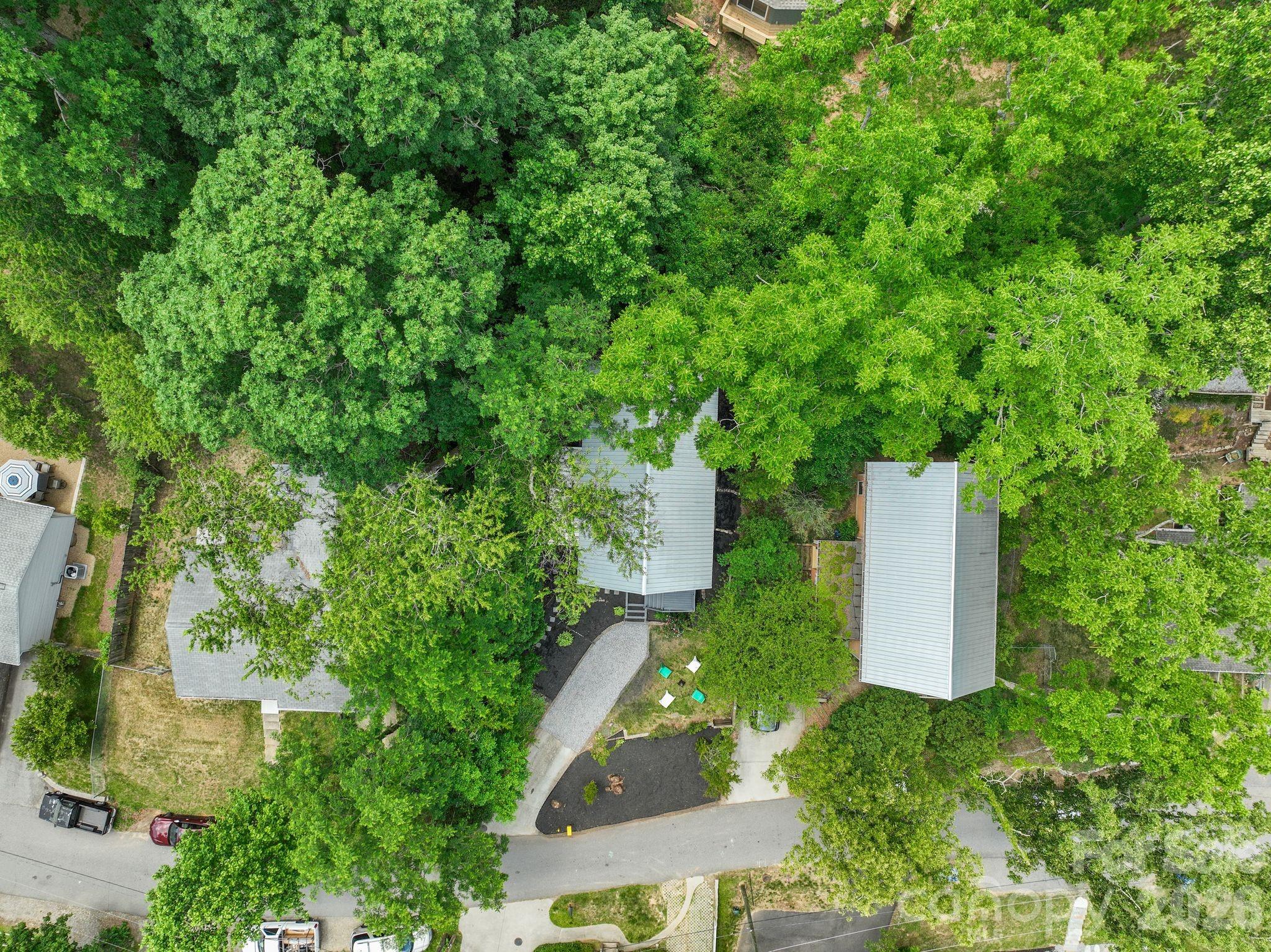 49 Greeley Street — Asheville