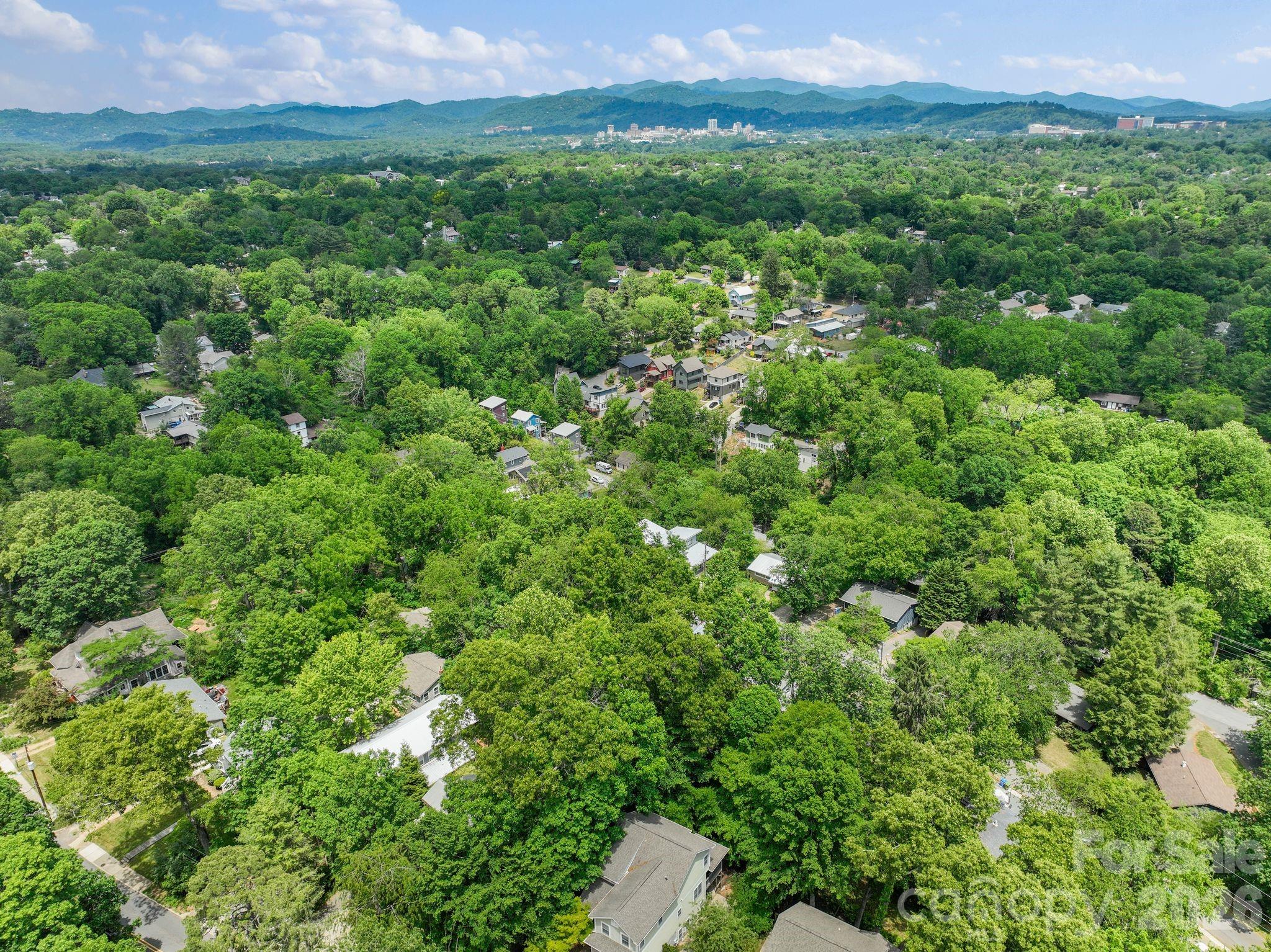 49 Greeley Street — Asheville
