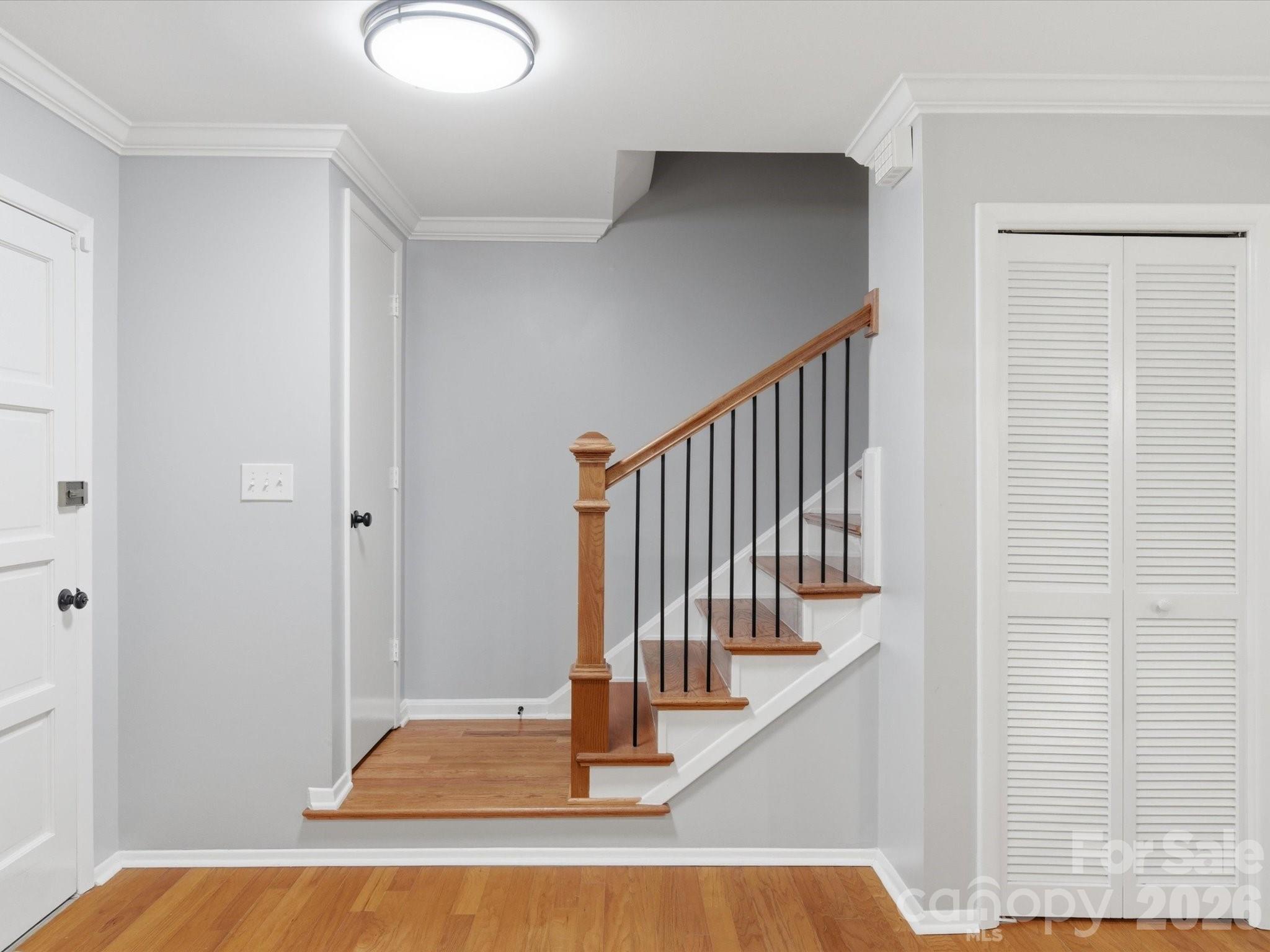 9206 Tree Haven Drive — Charlotte