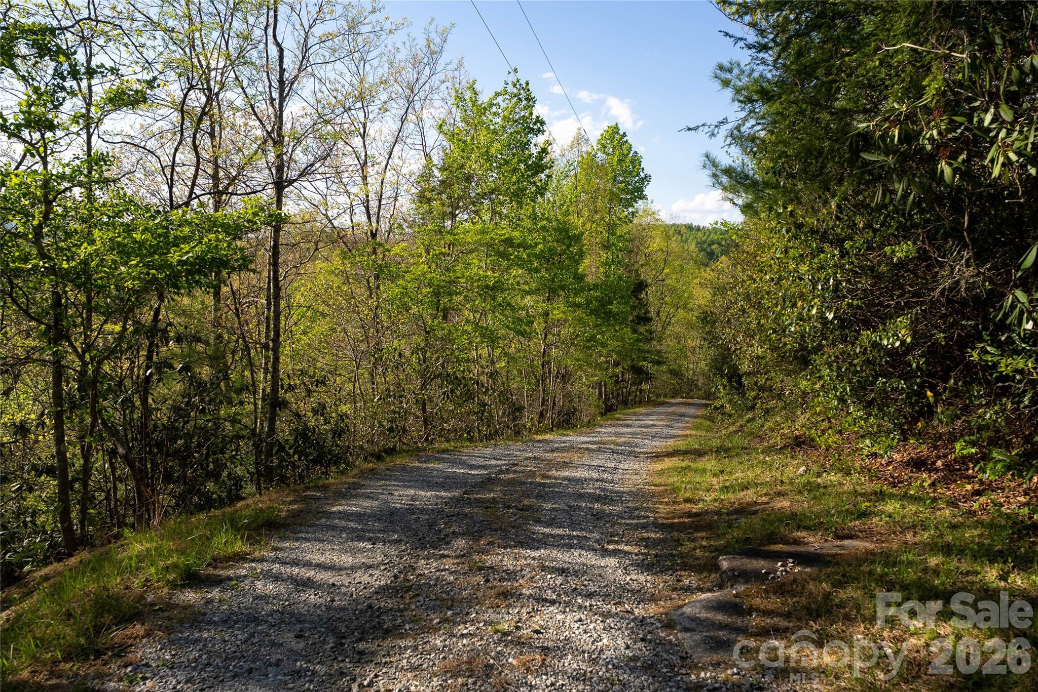 1412 N Bearwallow Road — Fletcher