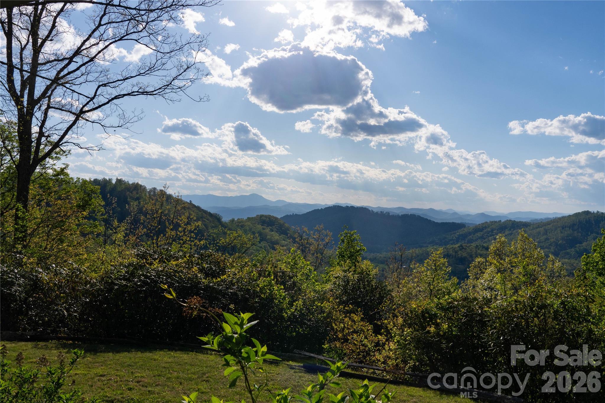 1412 N Bearwallow Road — Fletcher