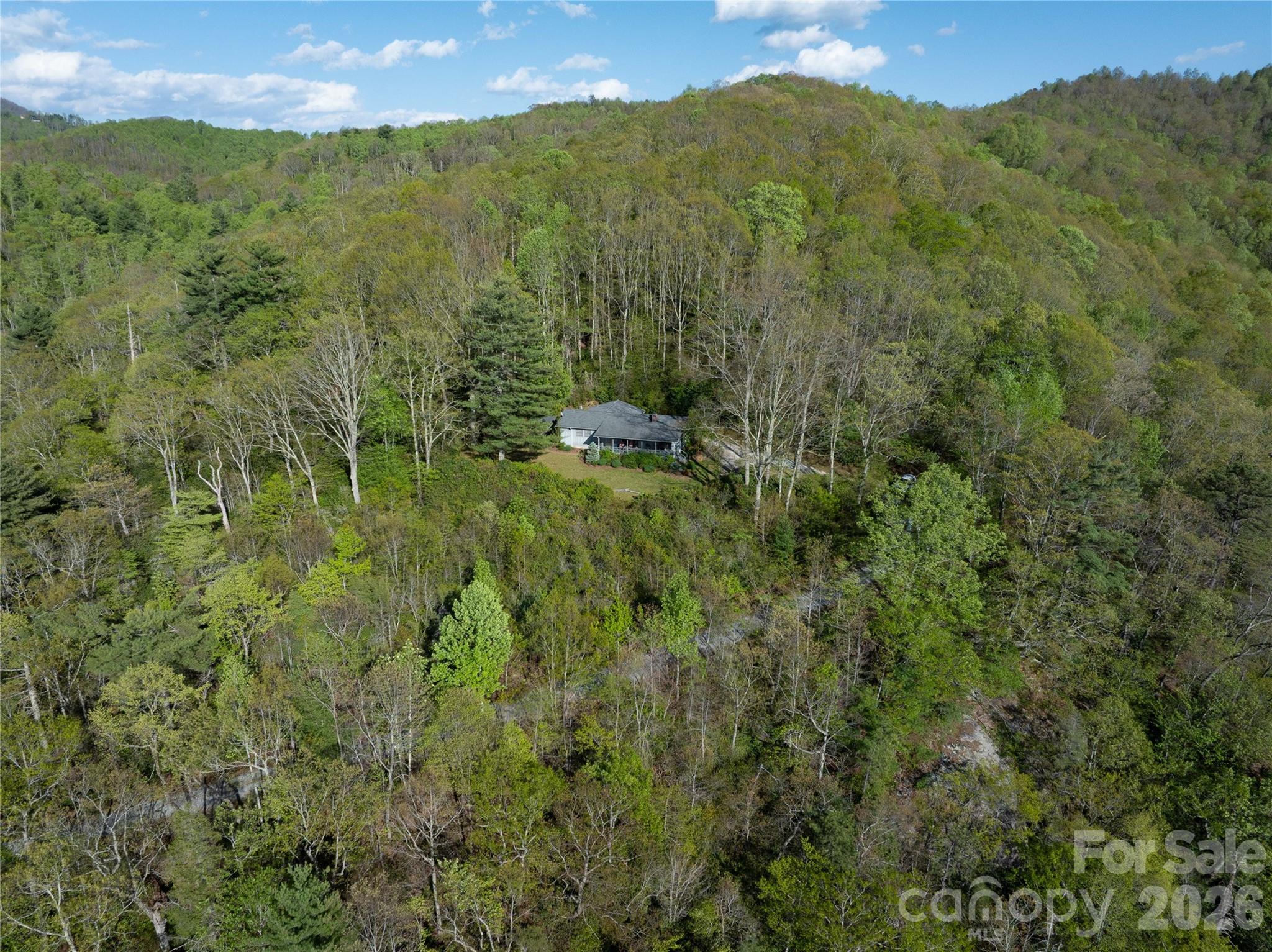 1412 N Bearwallow Road — Fletcher