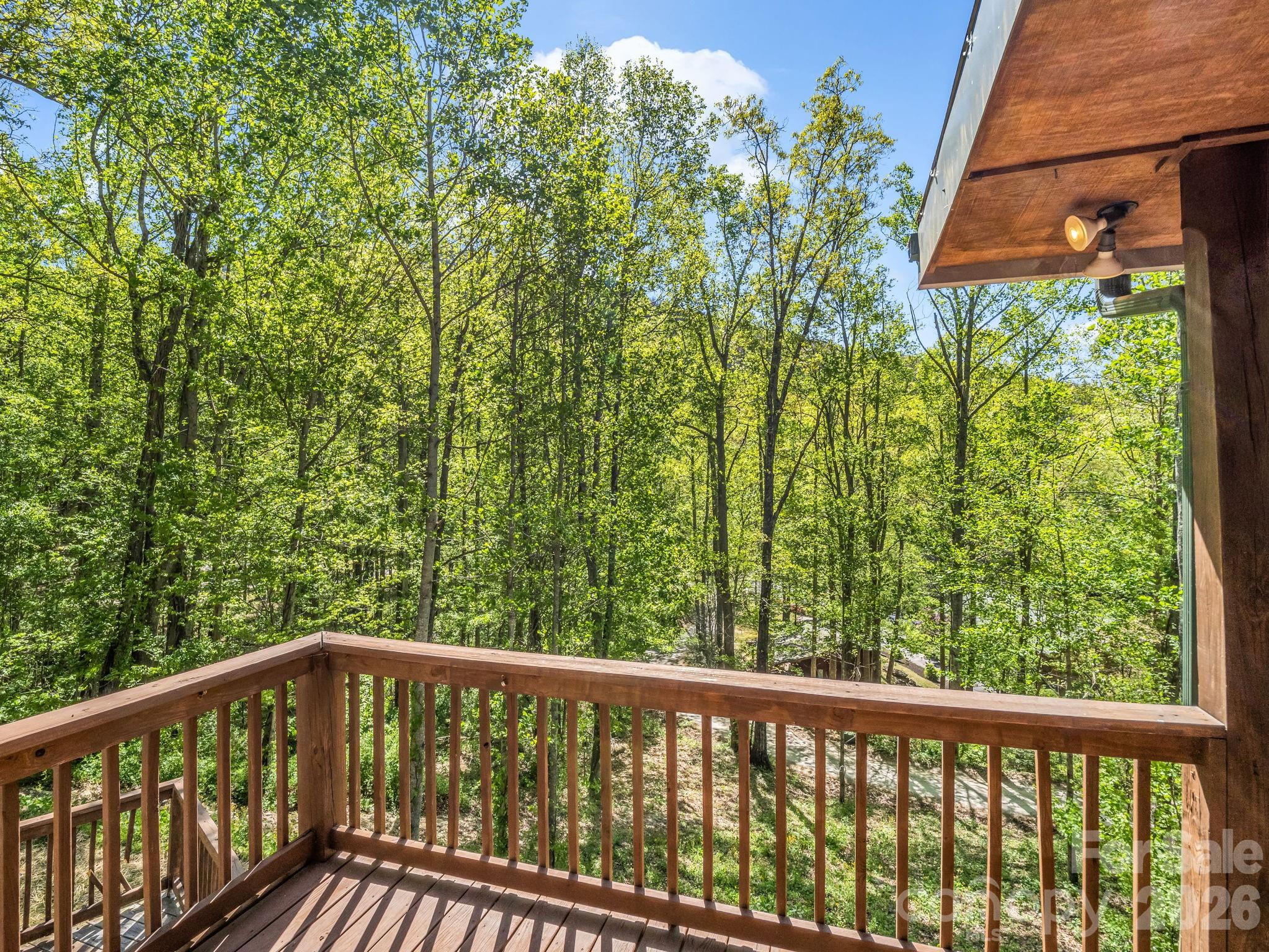 170 Old Mountain Pass — Hendersonville