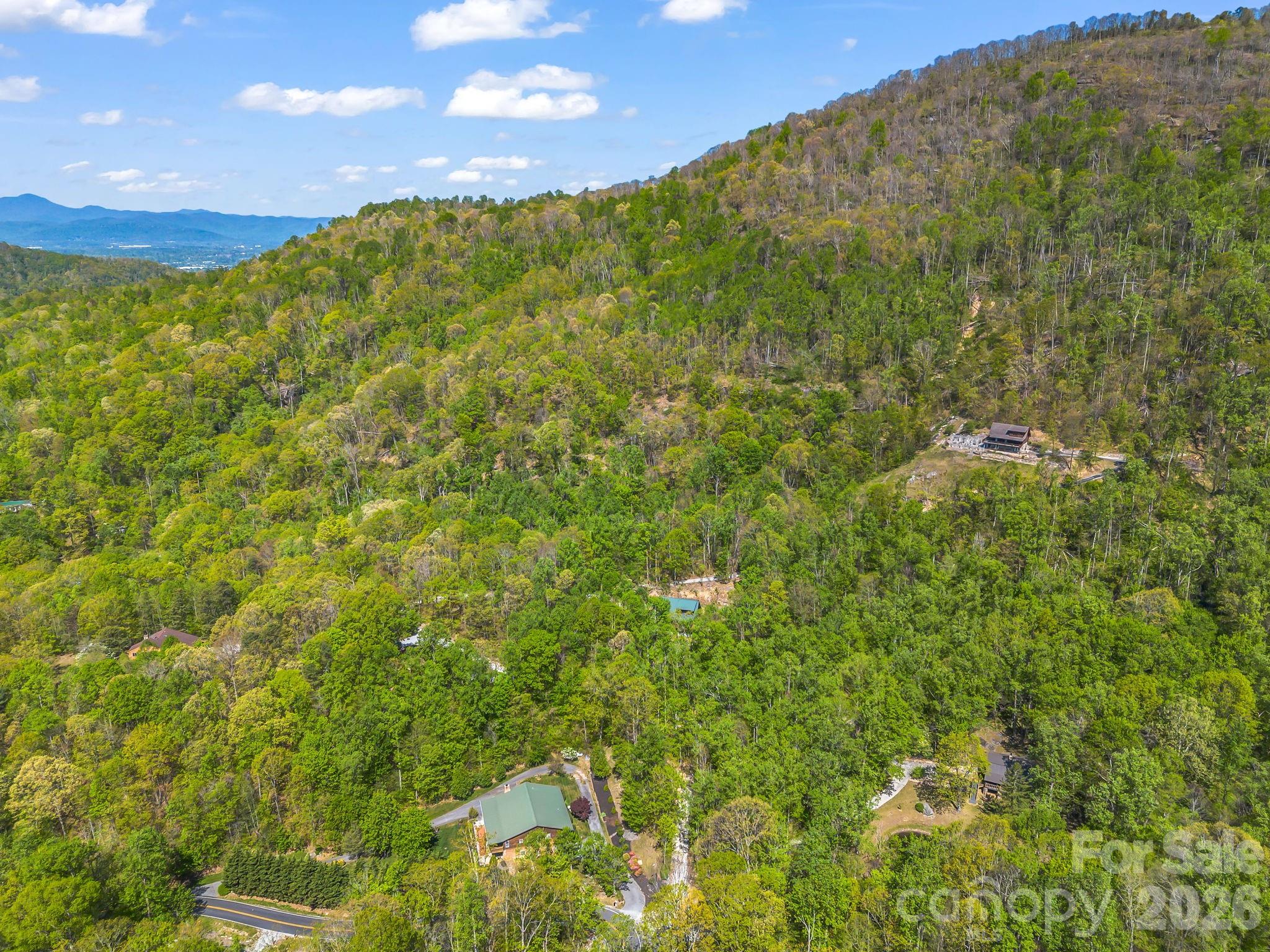 170 Old Mountain Pass — Hendersonville