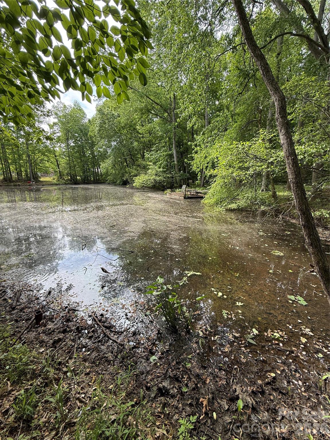1155 Cedar Pond Lane — Salisbury