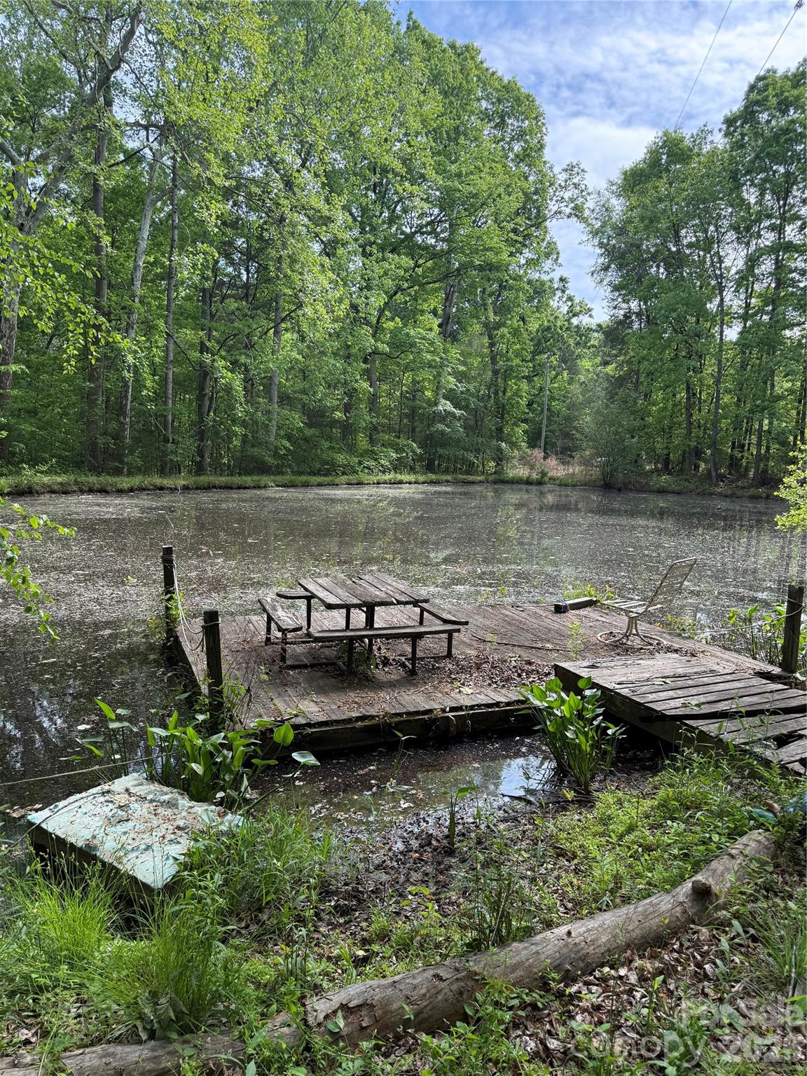 1155 Cedar Pond Lane — Salisbury