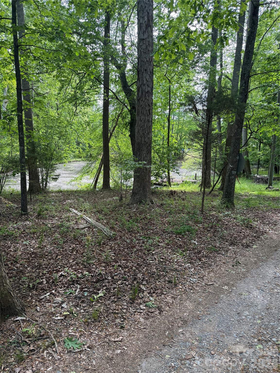 1155 Cedar Pond Lane — Salisbury