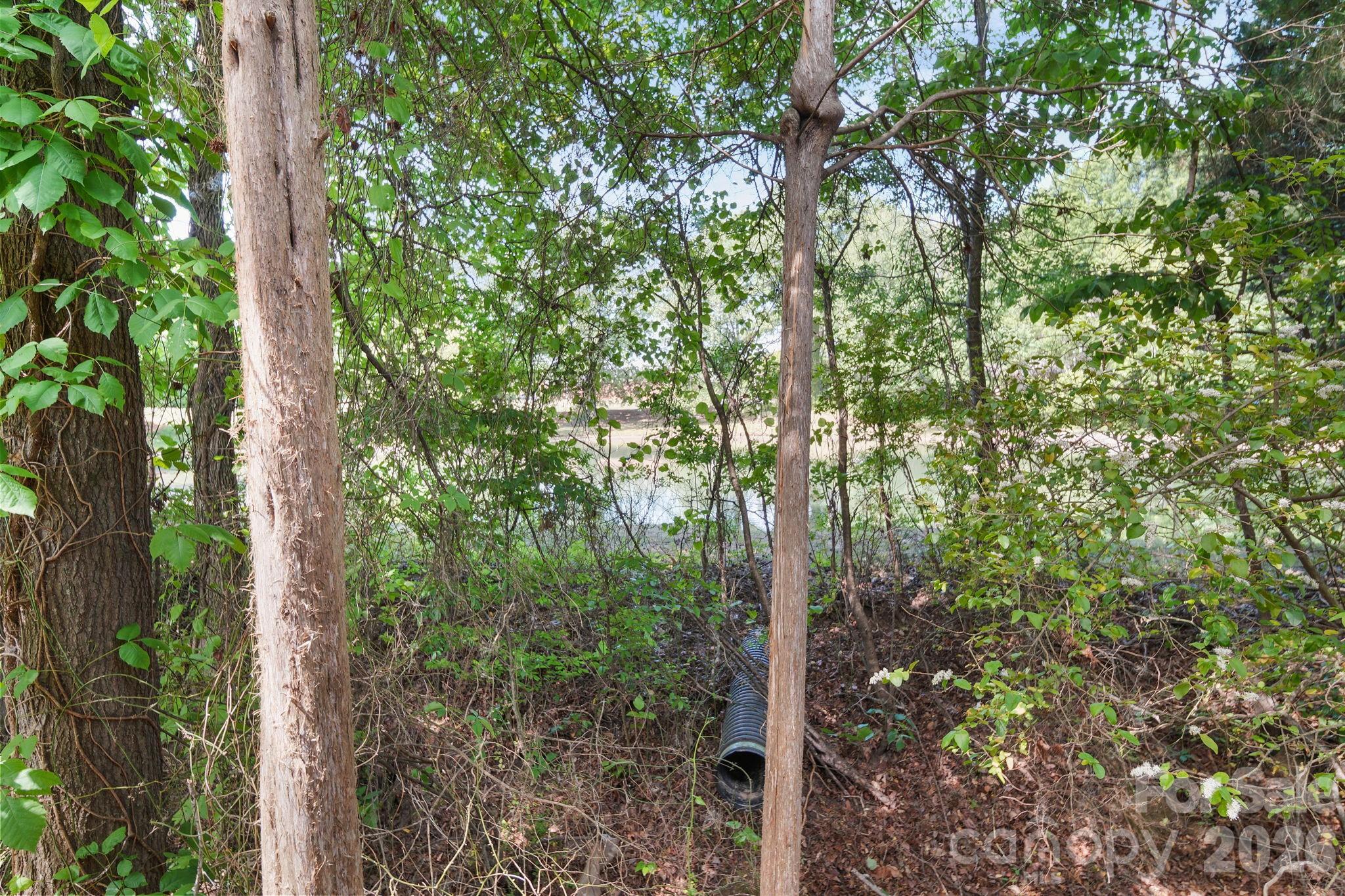 13339 Mint Lake Drive #26 — Matthews