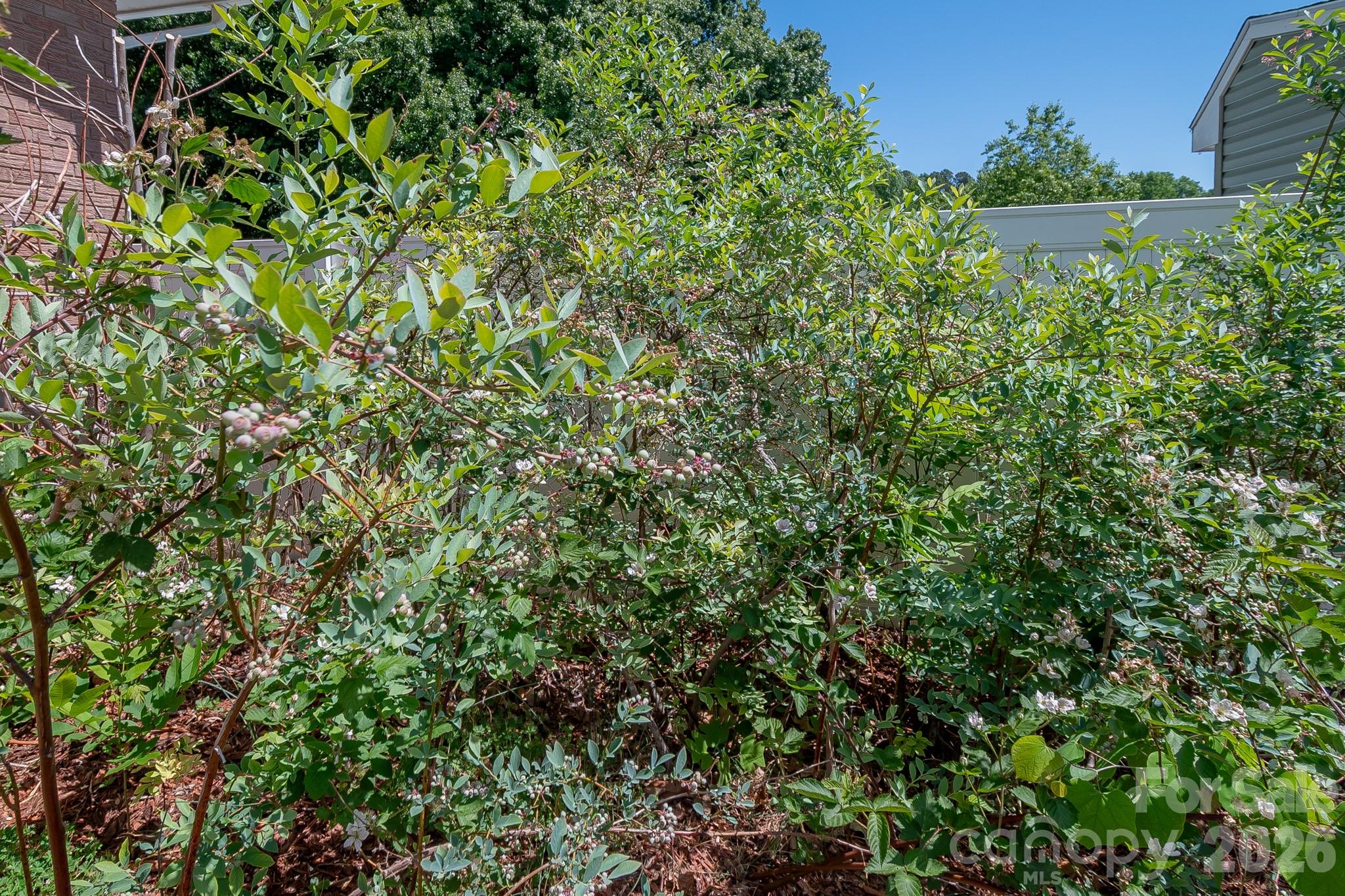 44446 Field Road — New London