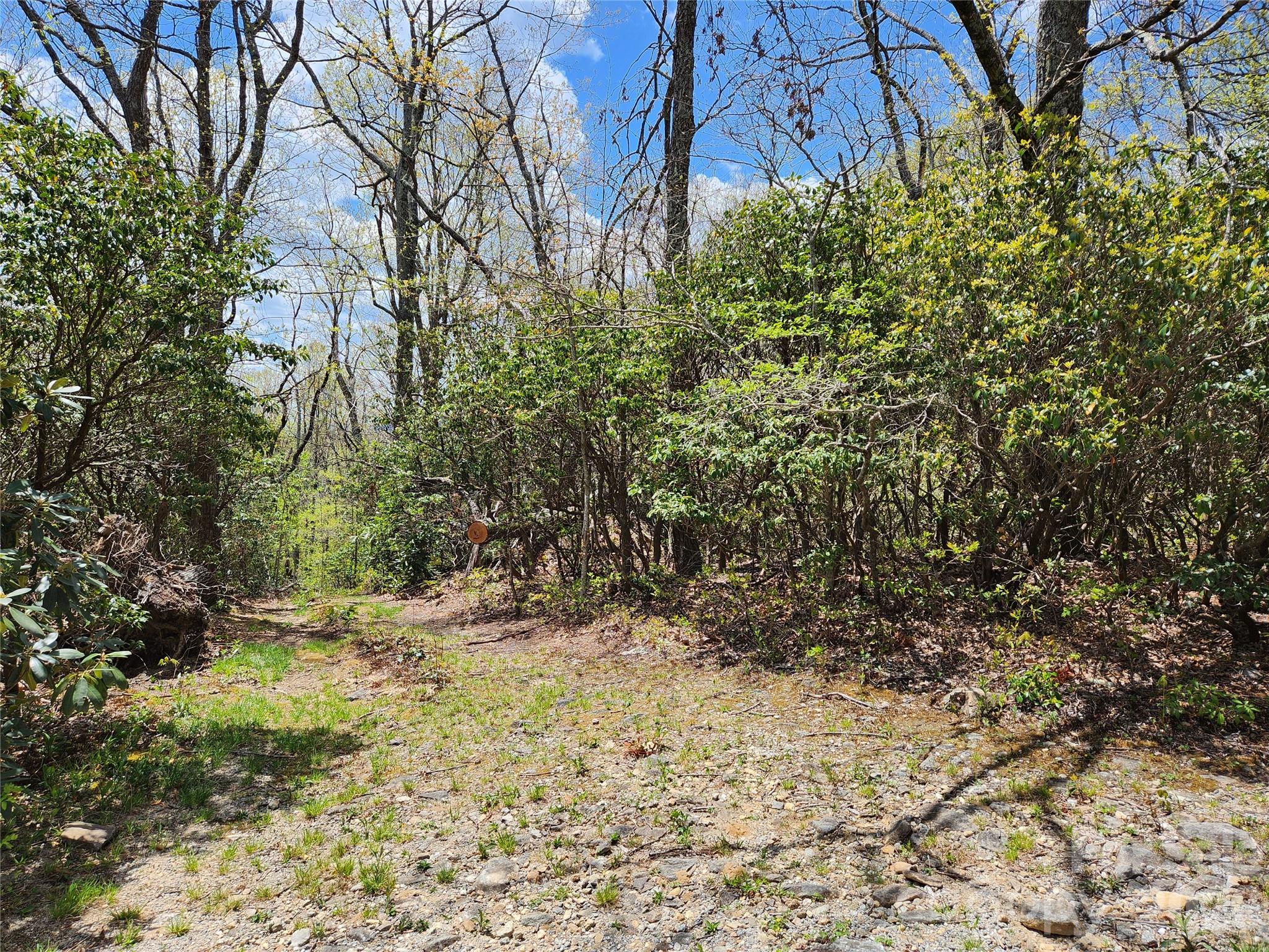 929 Pine Ridge Road — Hendersonville