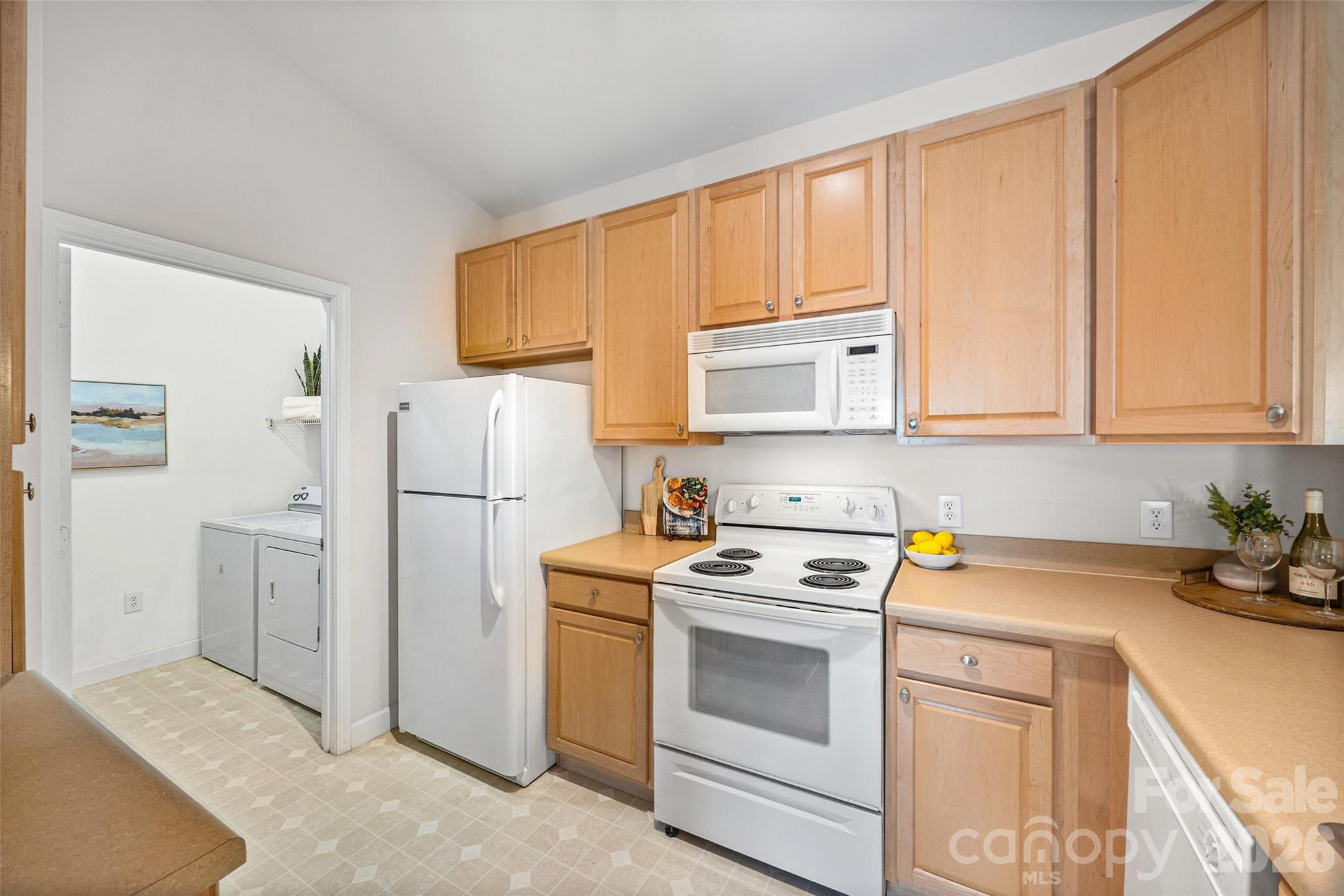16458 Redstone Mountain Lane — Charlotte