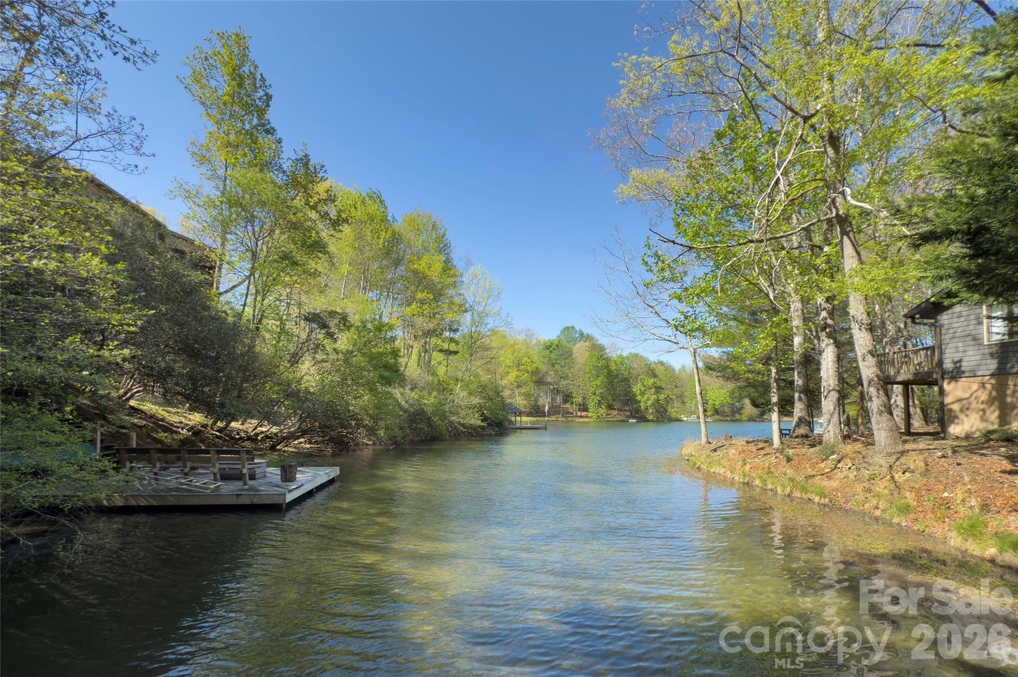 960 Middle Connestee Trail — Brevard