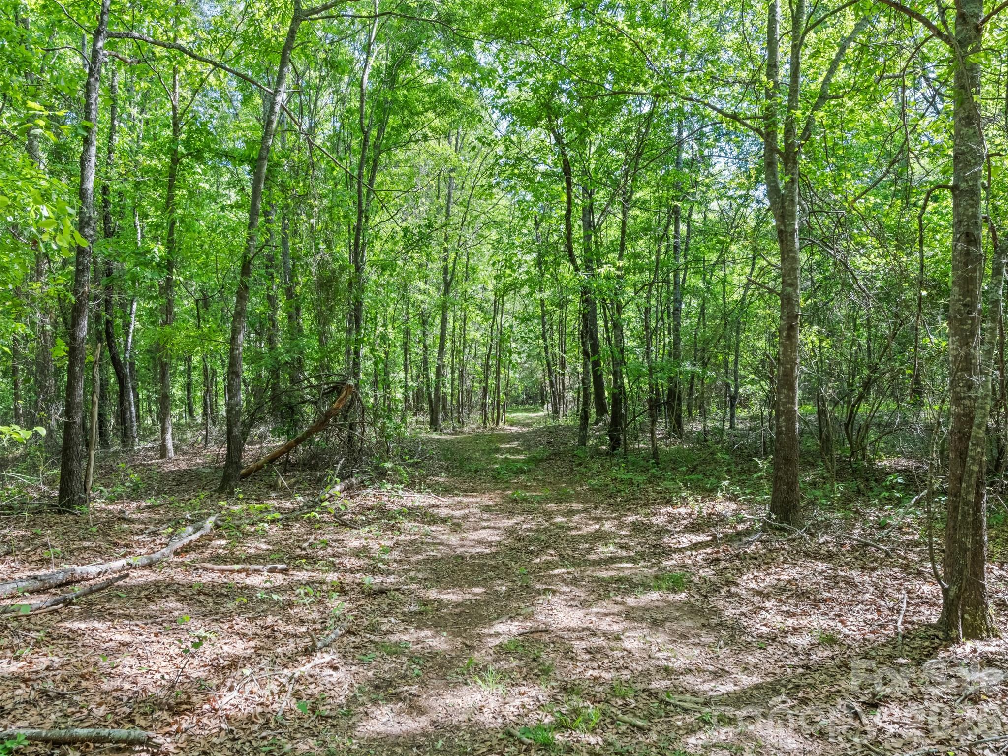 311 Soco Gap Road — Ellenboro