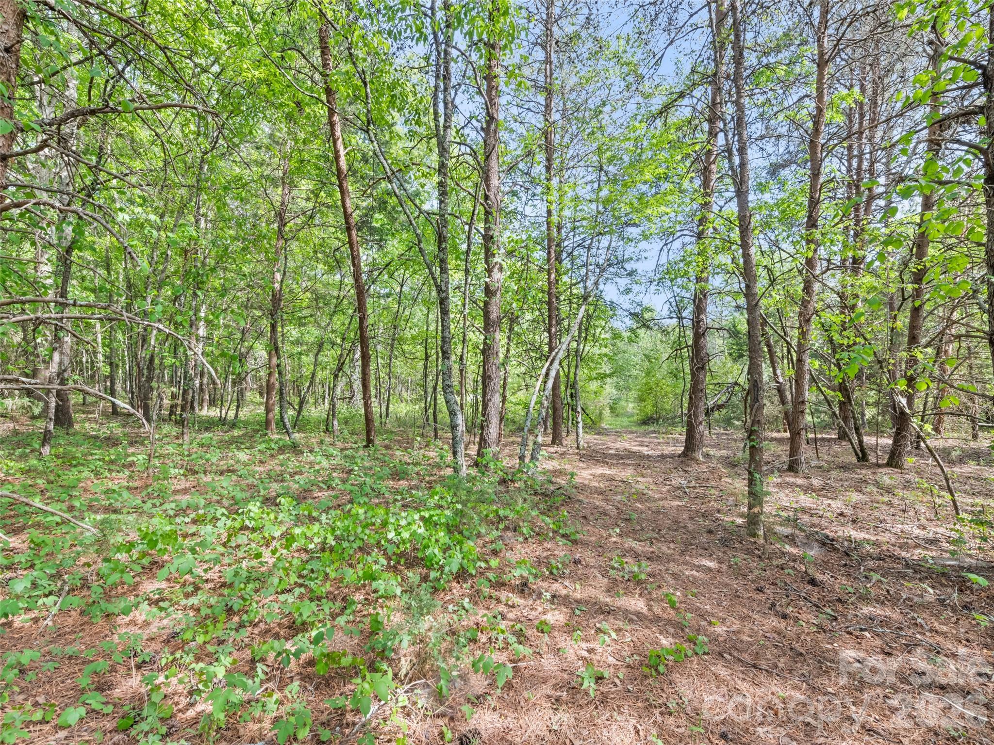 311 Soco Gap Road — Ellenboro