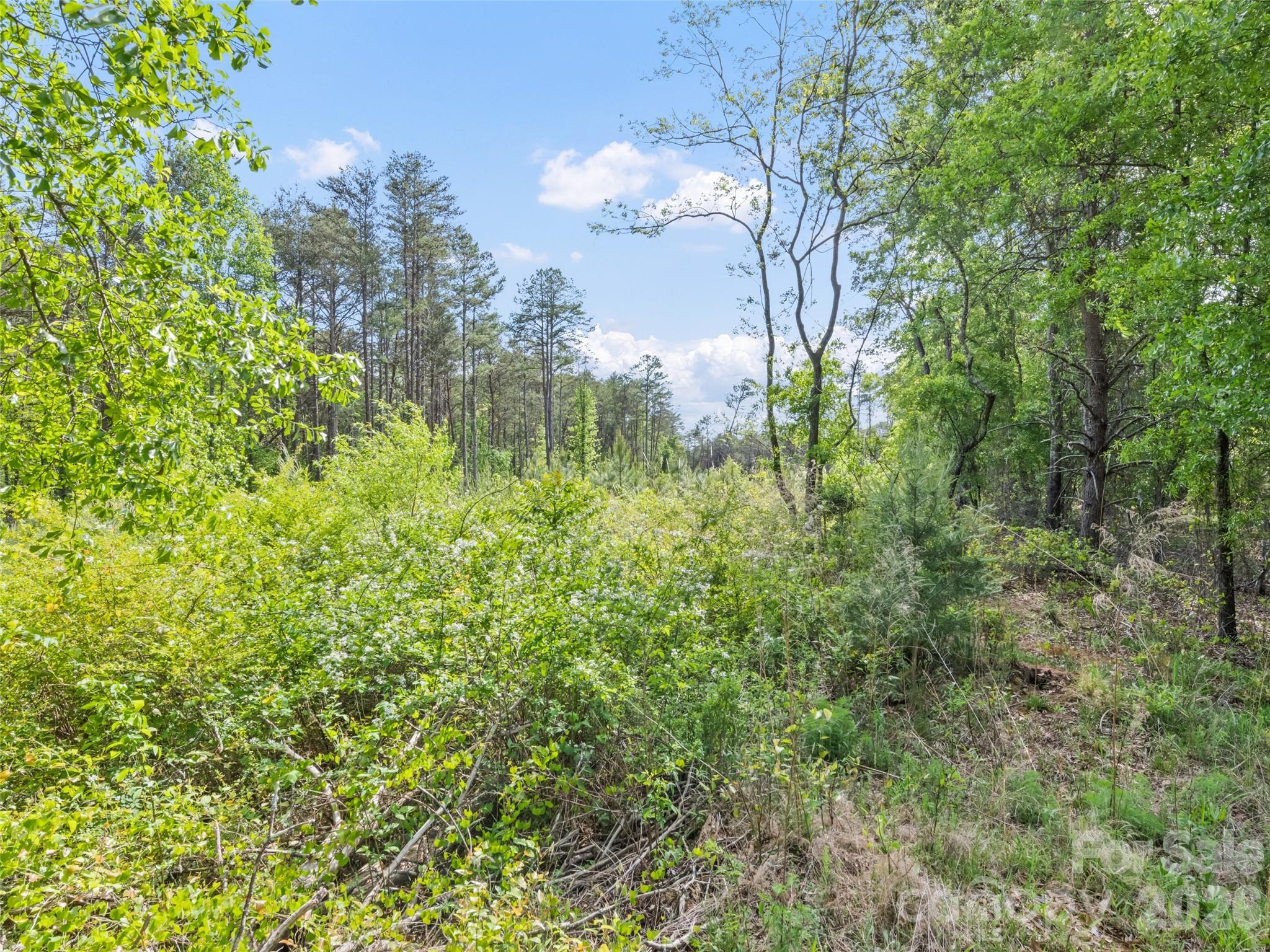 311 Soco Gap Road — Ellenboro