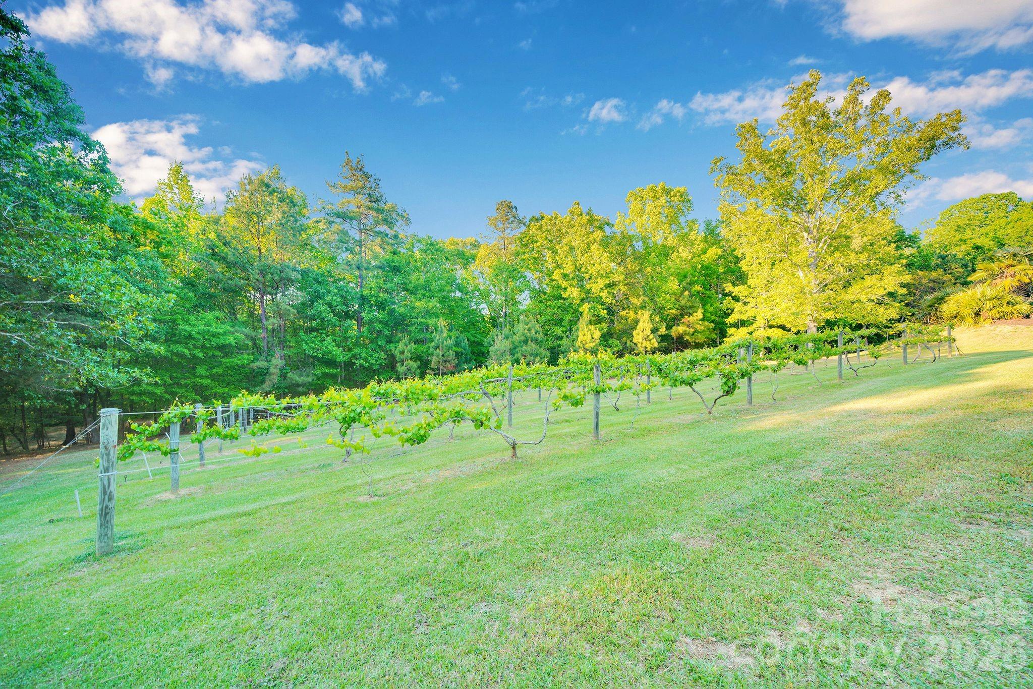 1171 Hilldale Drive — Lancaster