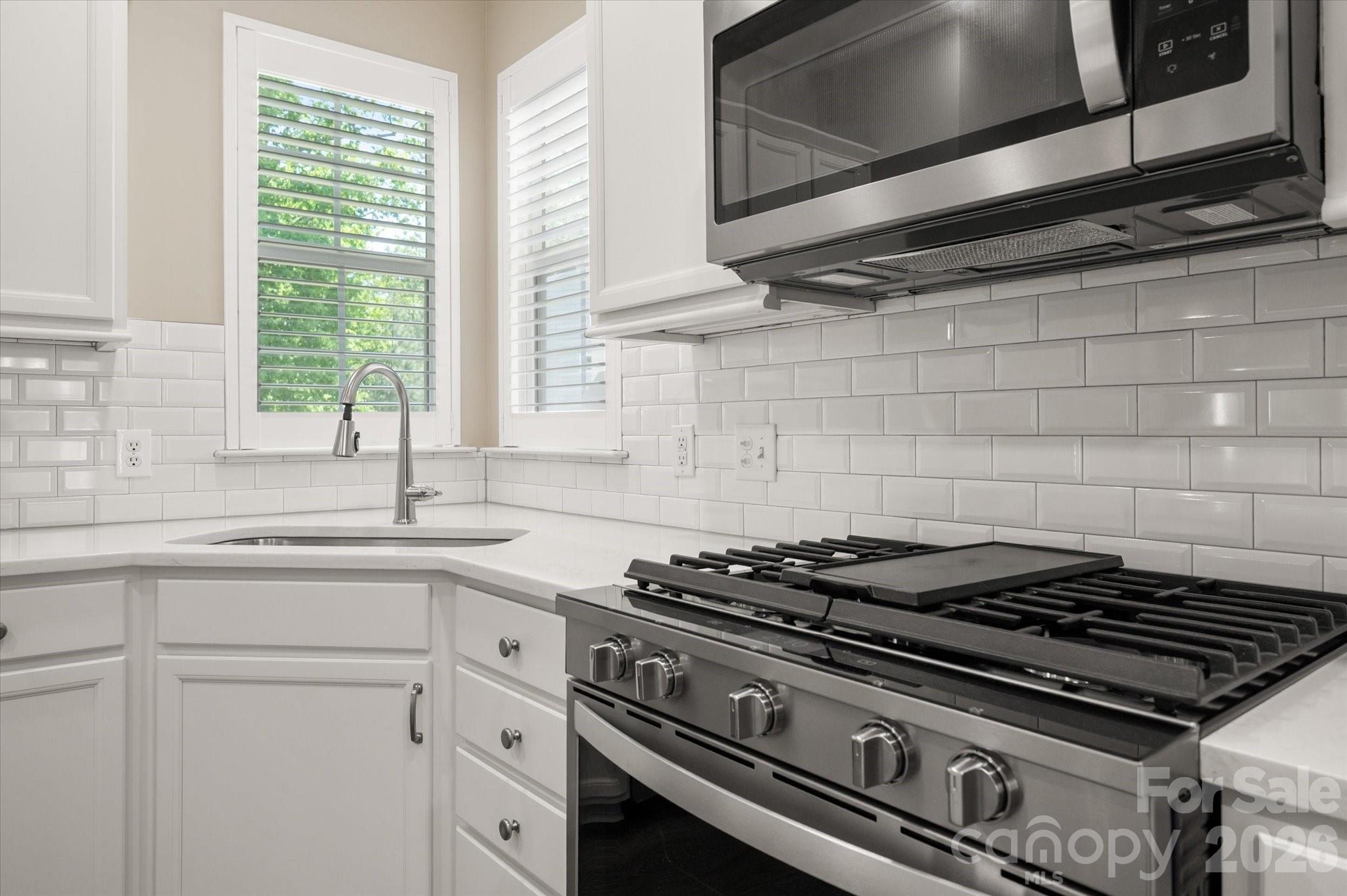 6056 Great Basin Lane — Fort Mill