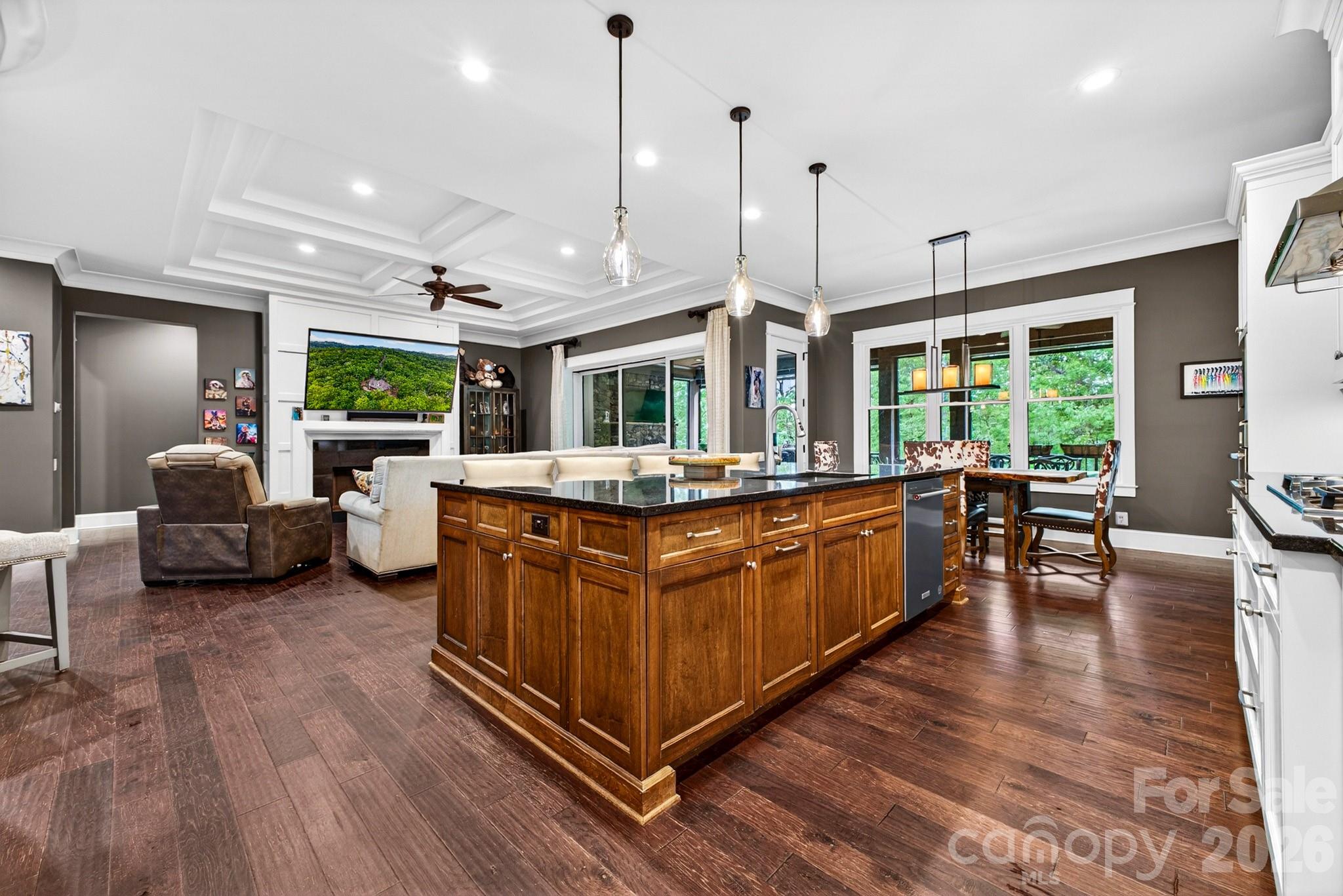 671 Mills River Way — Horse Shoe