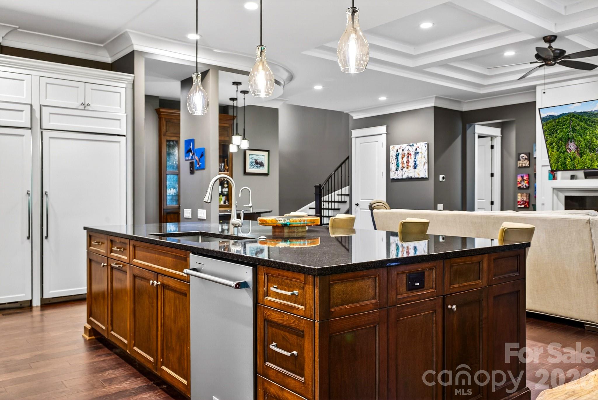 671 Mills River Way — Horse Shoe