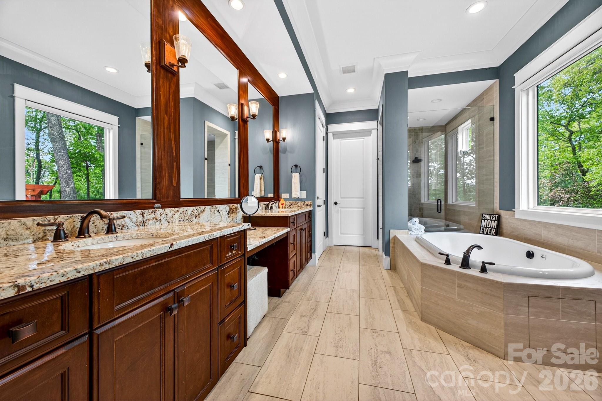 671 Mills River Way — Horse Shoe