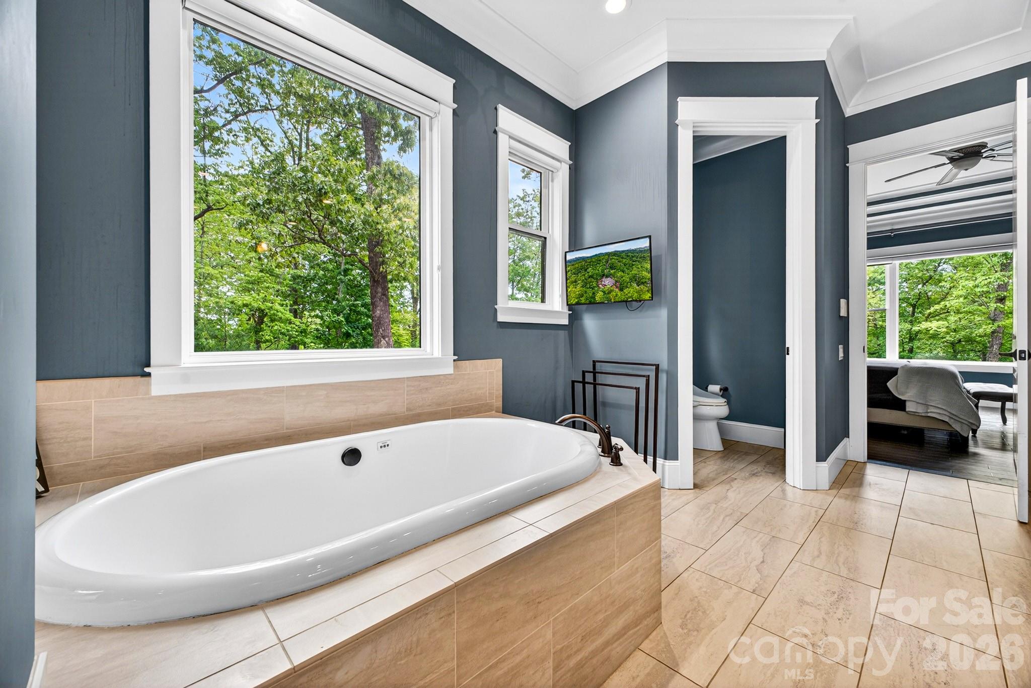 671 Mills River Way — Horse Shoe