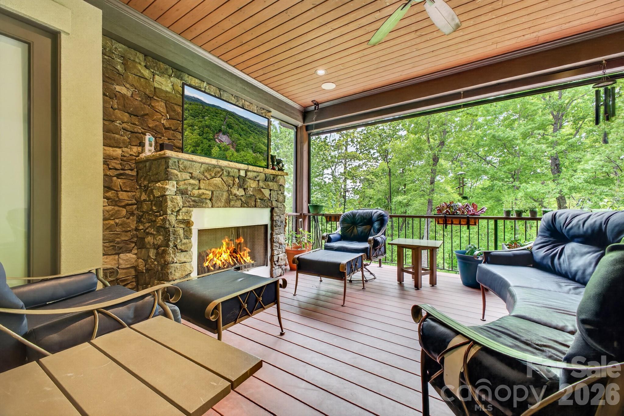 671 Mills River Way — Horse Shoe