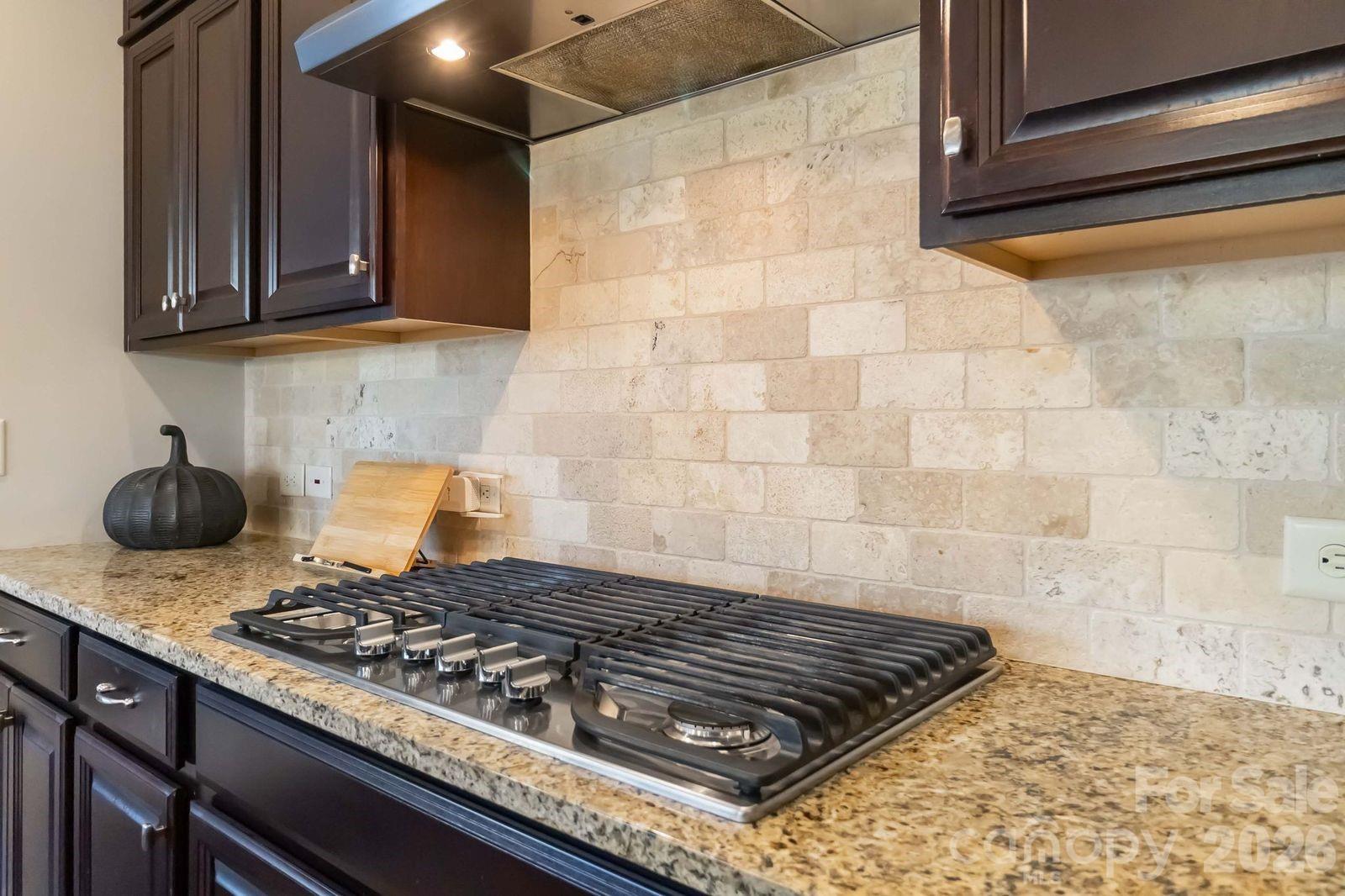 15417 Cimarron Hills Lane — Charlotte