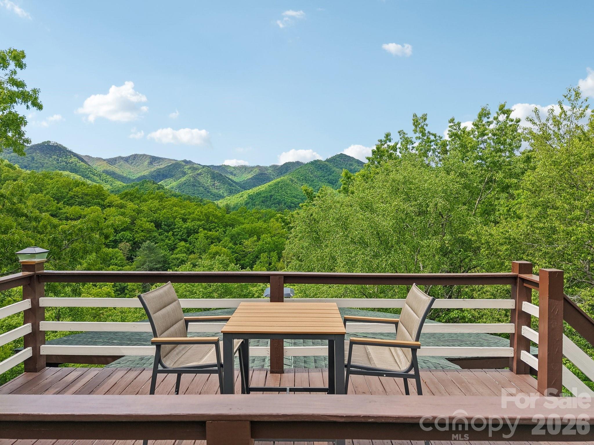 295 Dills Road — Bryson City