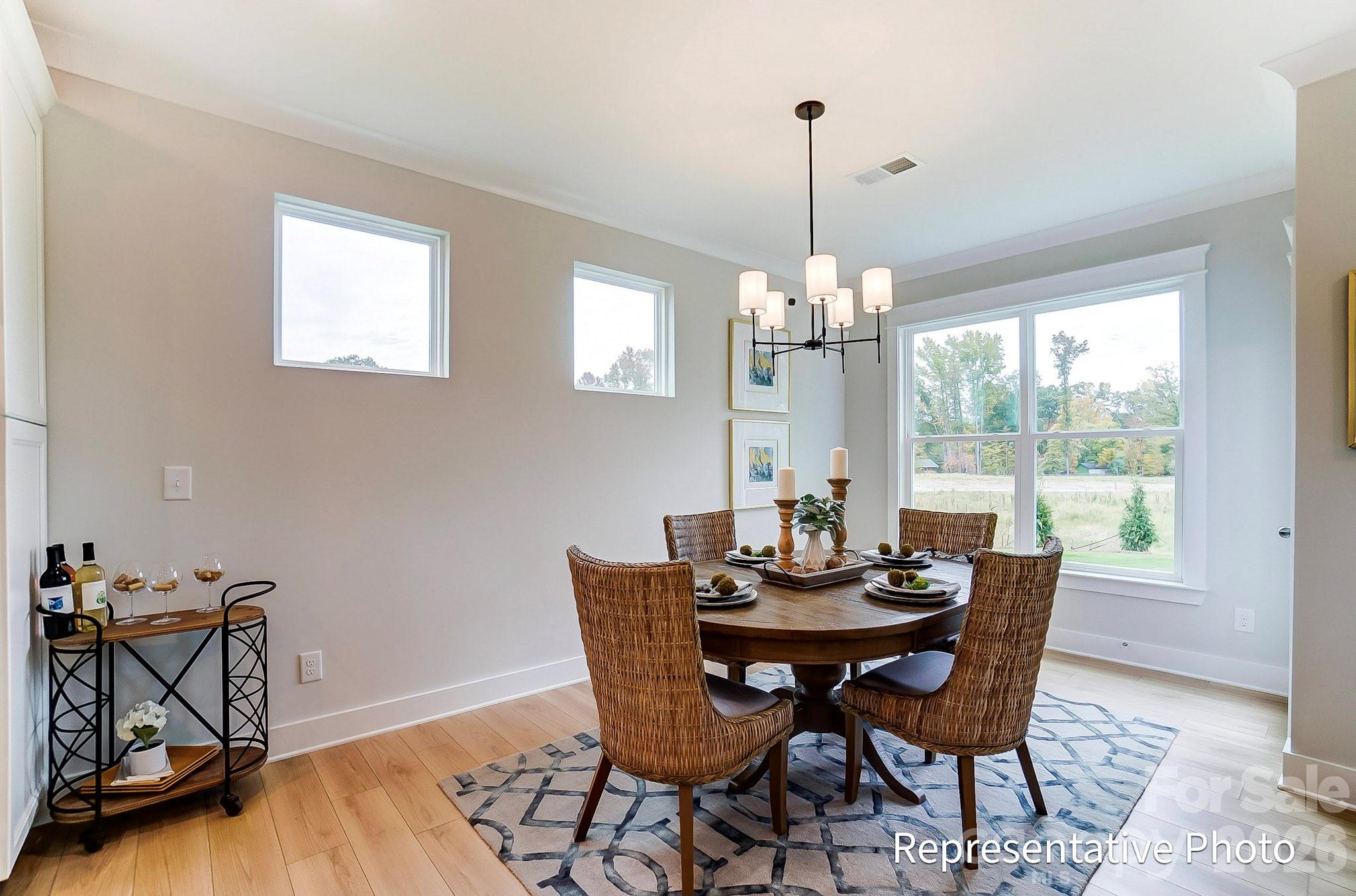 13123 Foxberry Road — Charlotte