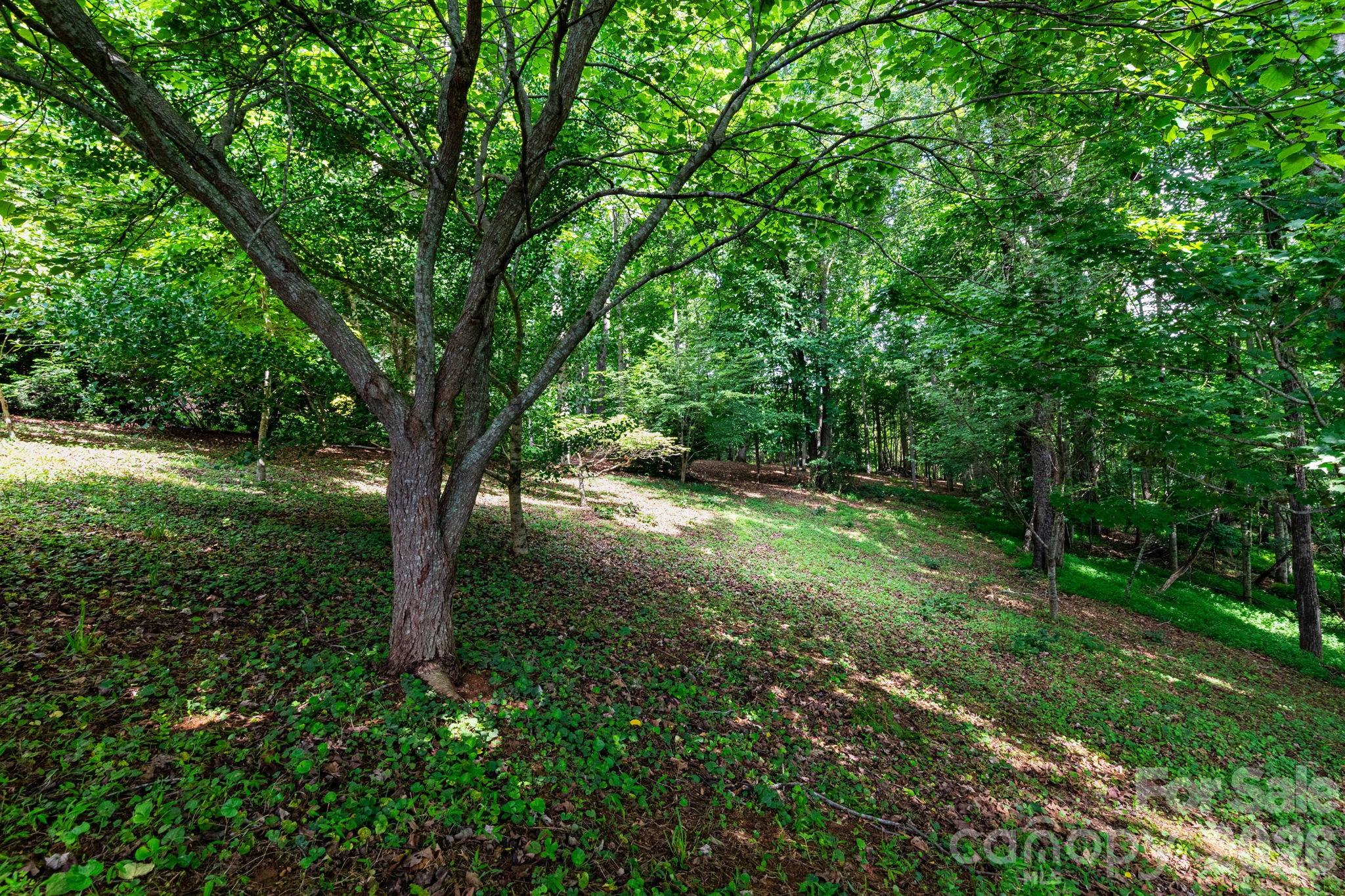 44 Deer Meadows Drive — Candler