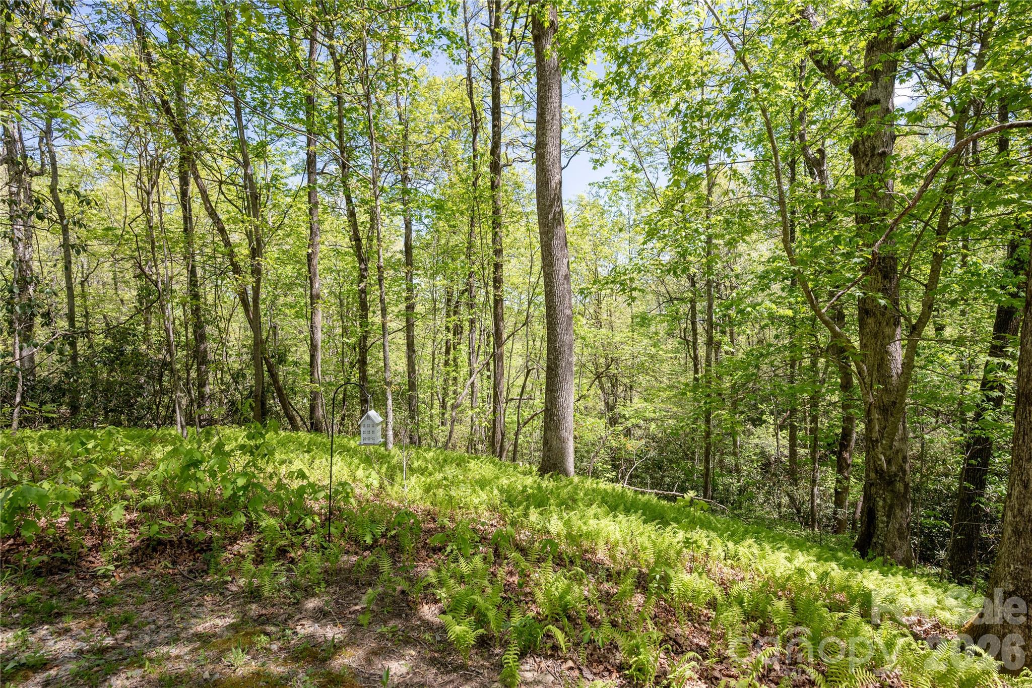 139 Panther Gap Road — Brevard