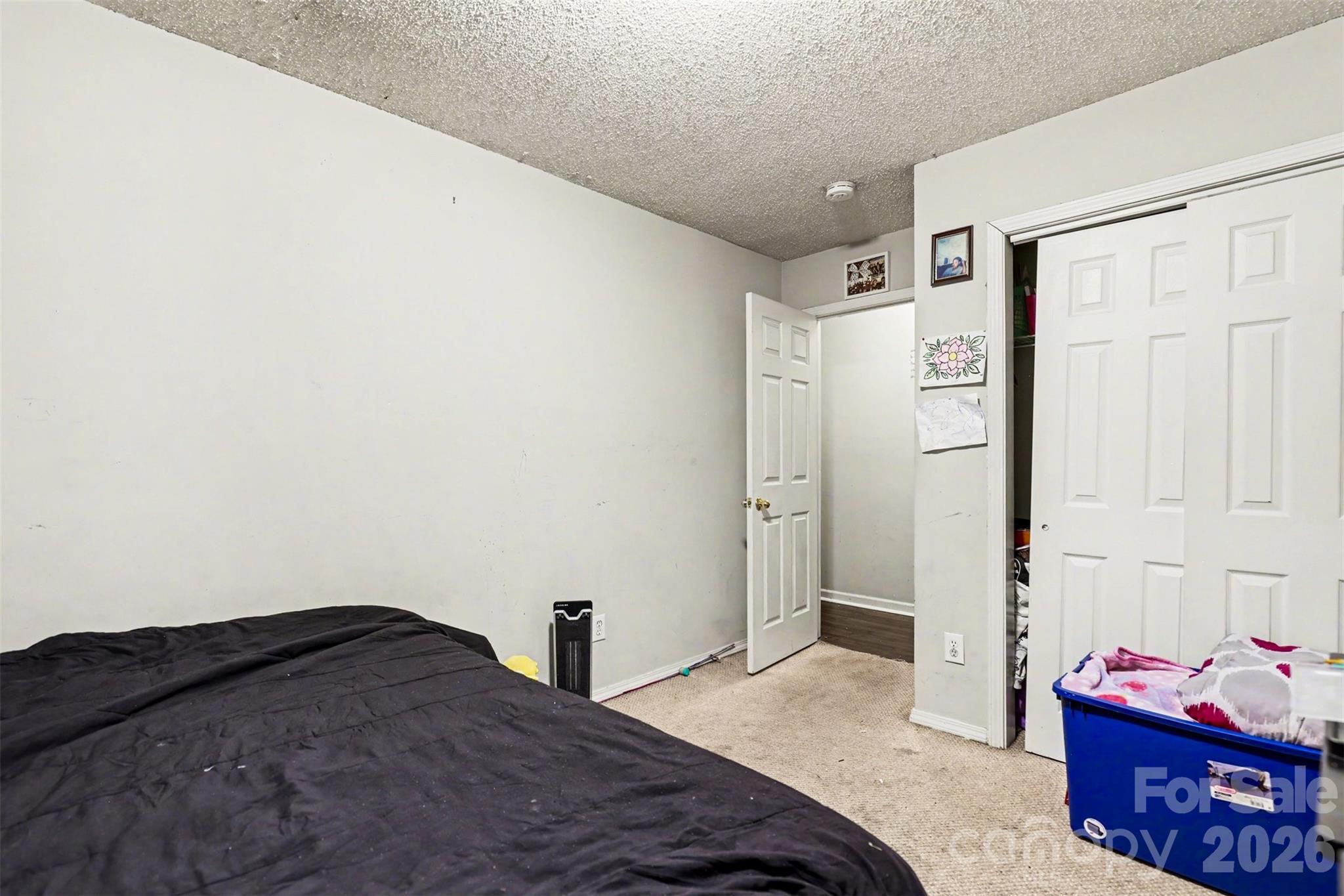 251 Rankin Road — Belmont
