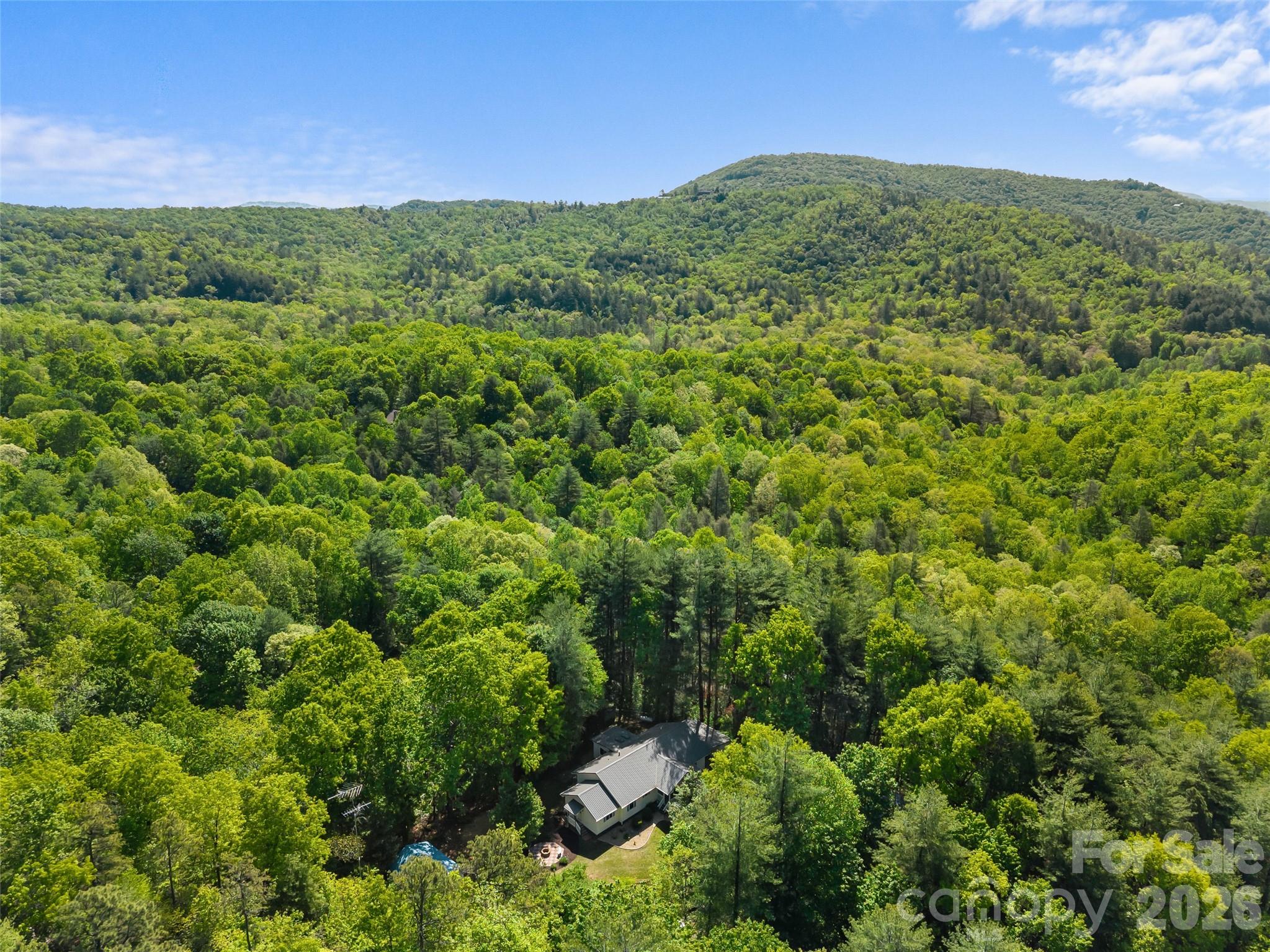 387 Crystal Creek Drive — Pisgah Forest