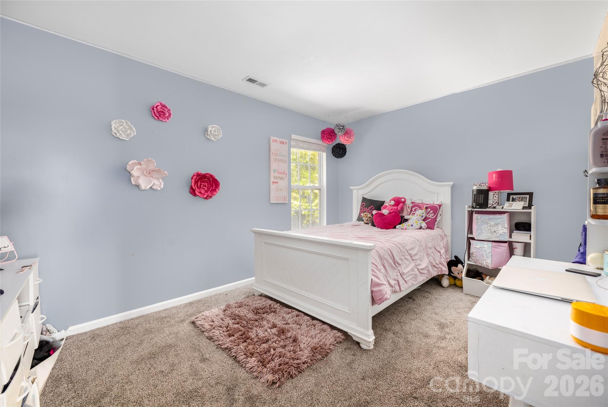 9713 Veronica Drive — Charlotte
