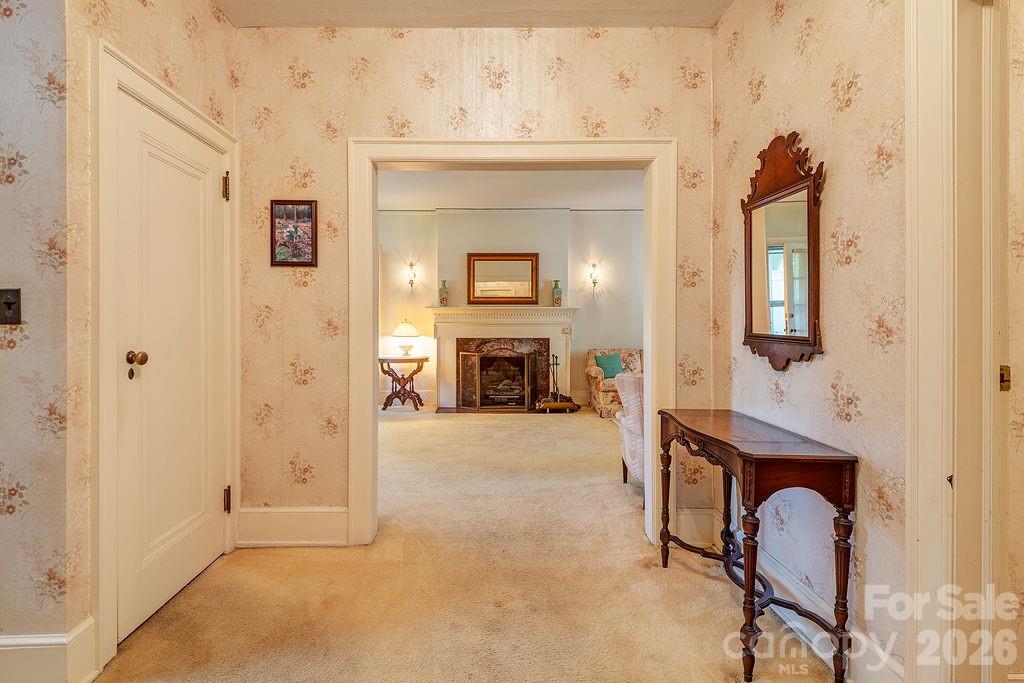 88 Bear Creek Road — Asheville