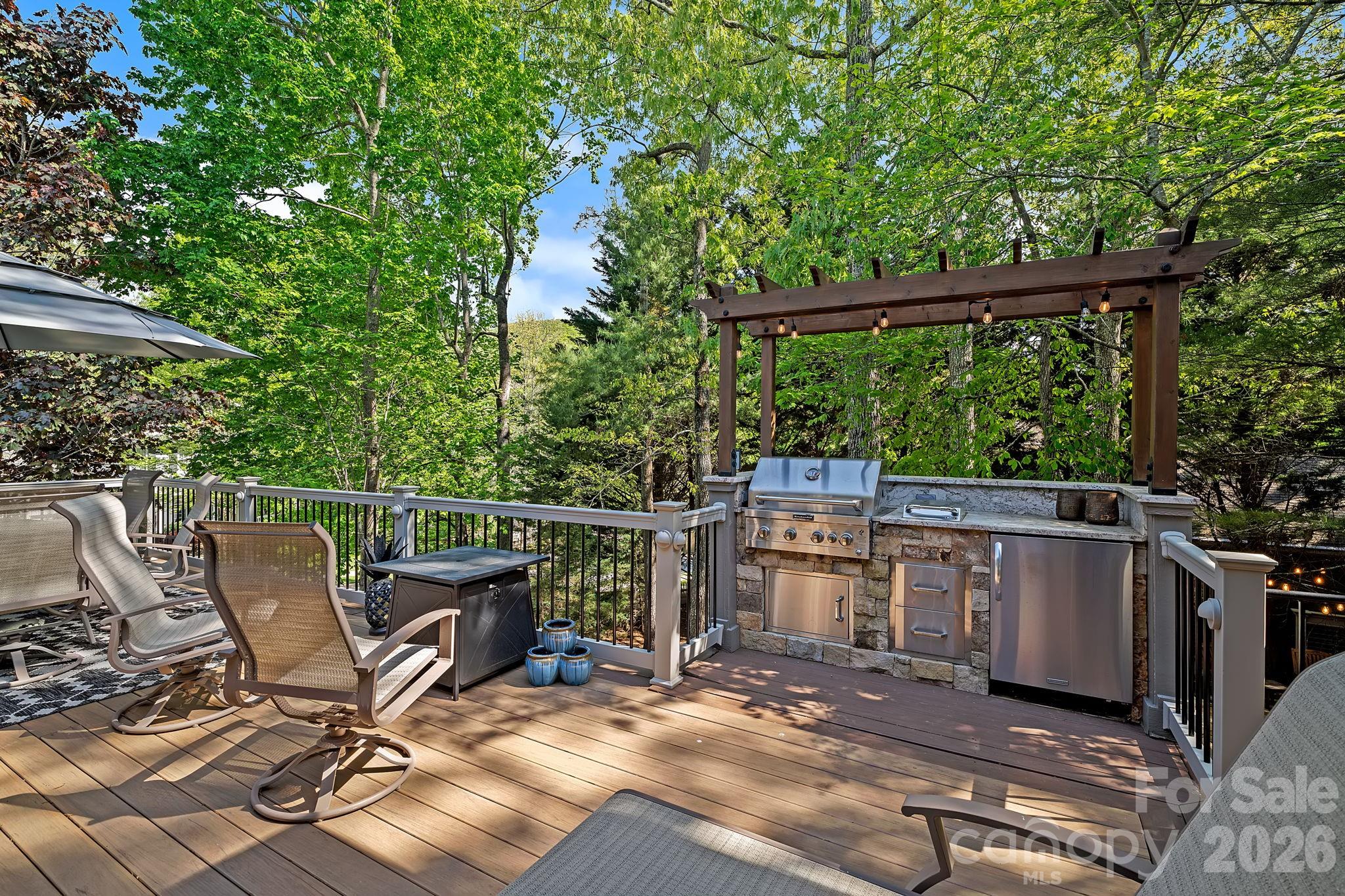 54 Mountain Drive — Biltmore Lake